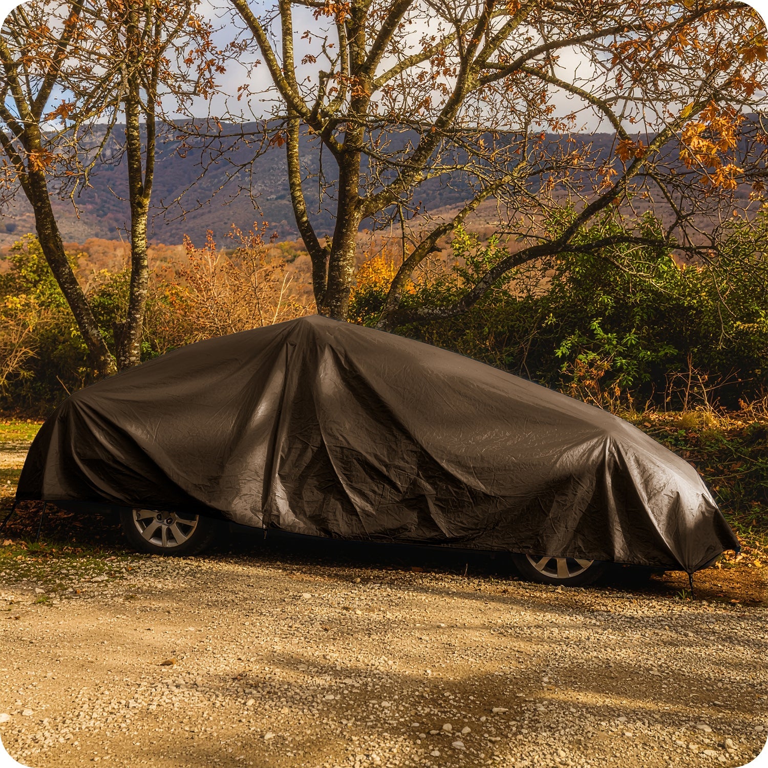 #Farbe_Braun (200 g/m²)