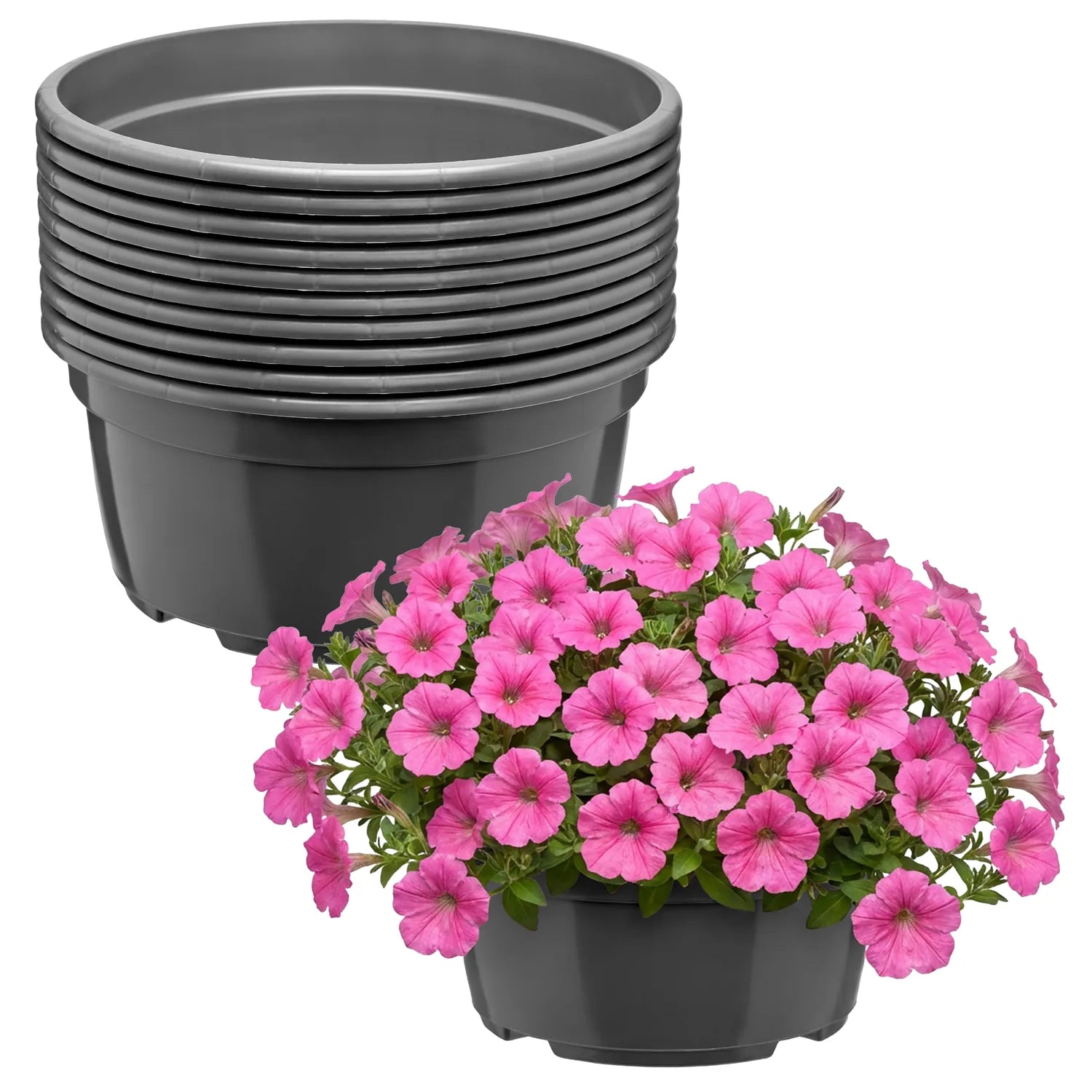 #Größe_Ø 19 x 9,5 cm (2,2L)#Menge_10 Stück#Farbe_Anthrazit