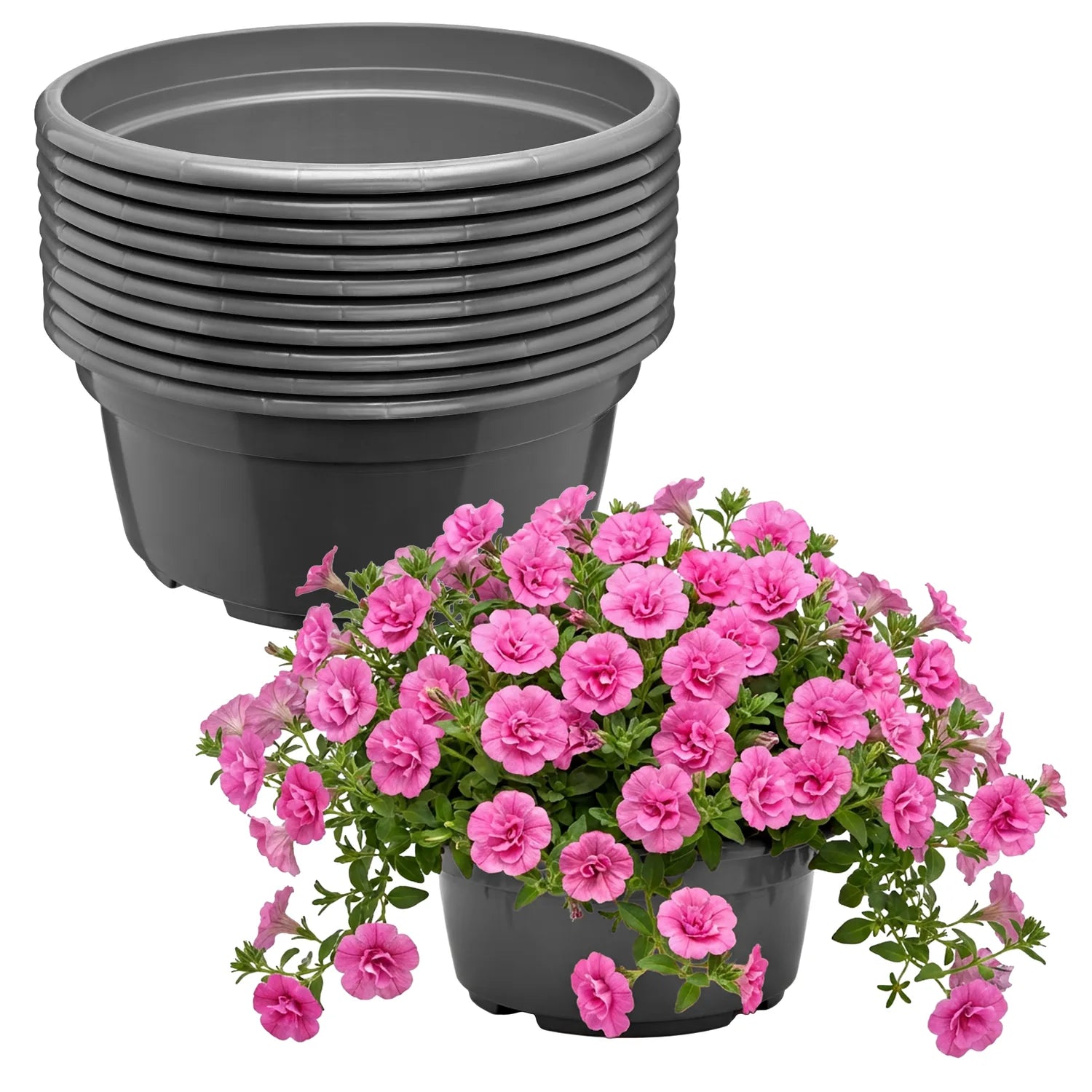 #Größe_Ø23 x 11 cm (3,5L)#Menge_10 Stück#Farbe_Anthrazit