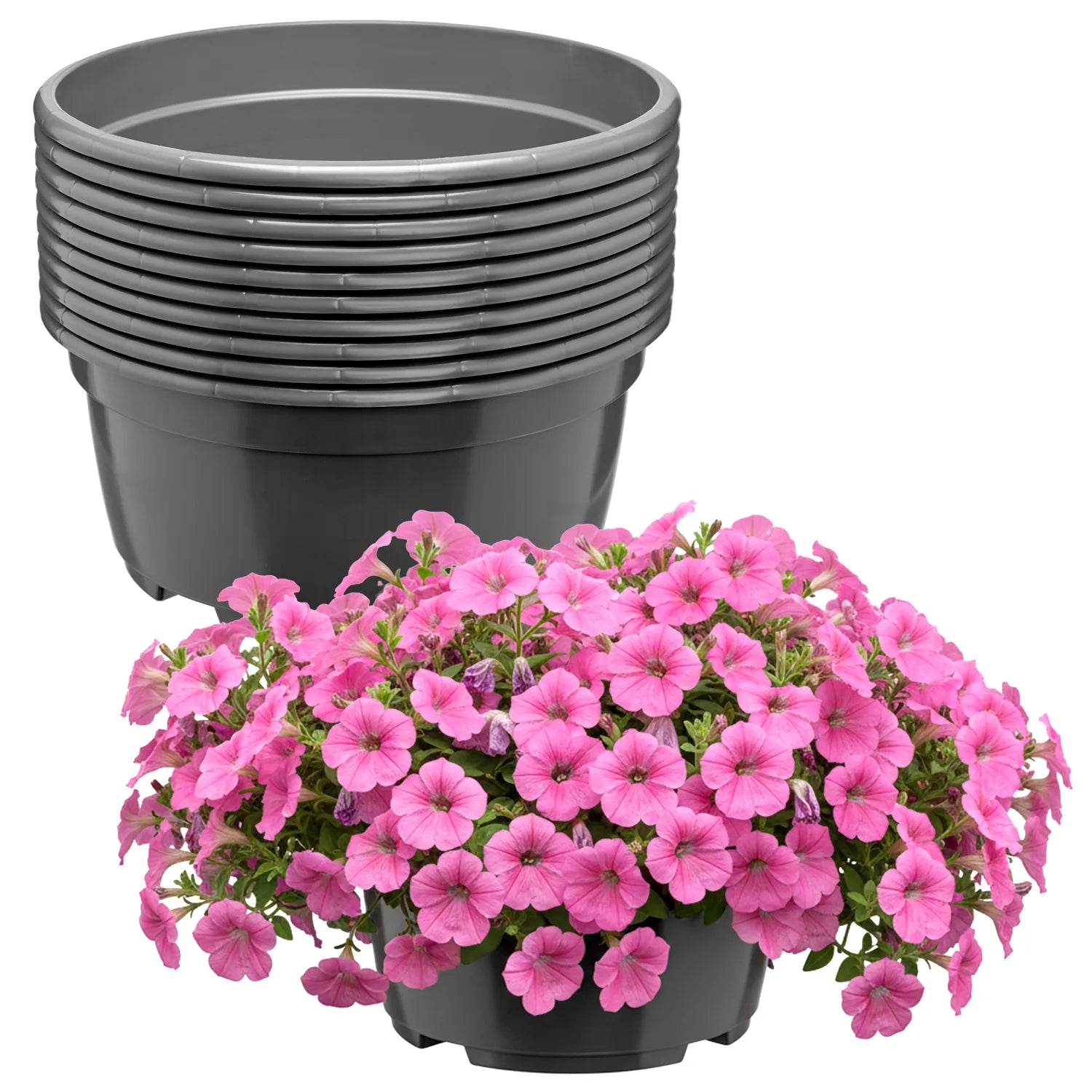 #Größe_Ø21 x 10,5 cm (3L)#Menge_10 Stück#Farbe_Anthrazit