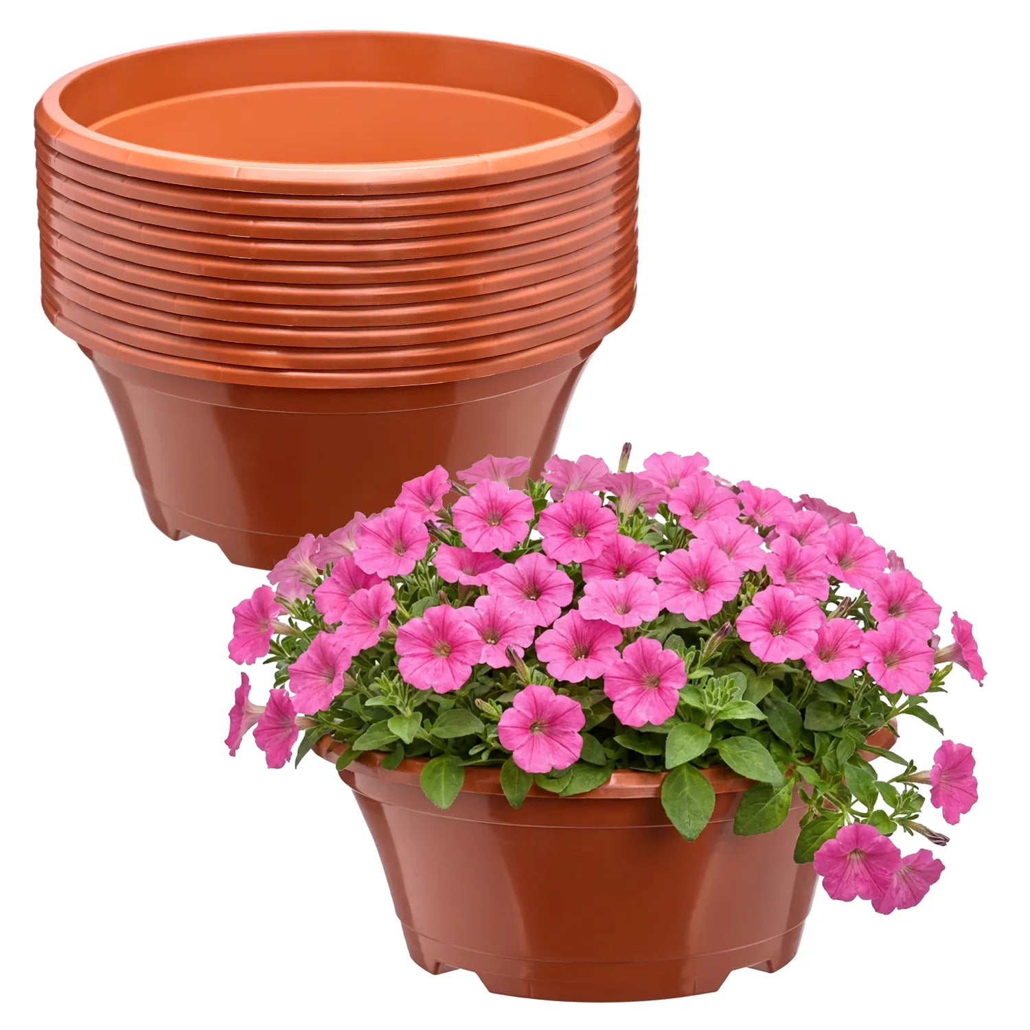 #Größe_Ø 22,5 x 9 cm (2L)#Menge_10 Stück#Farbe_Terrakotta