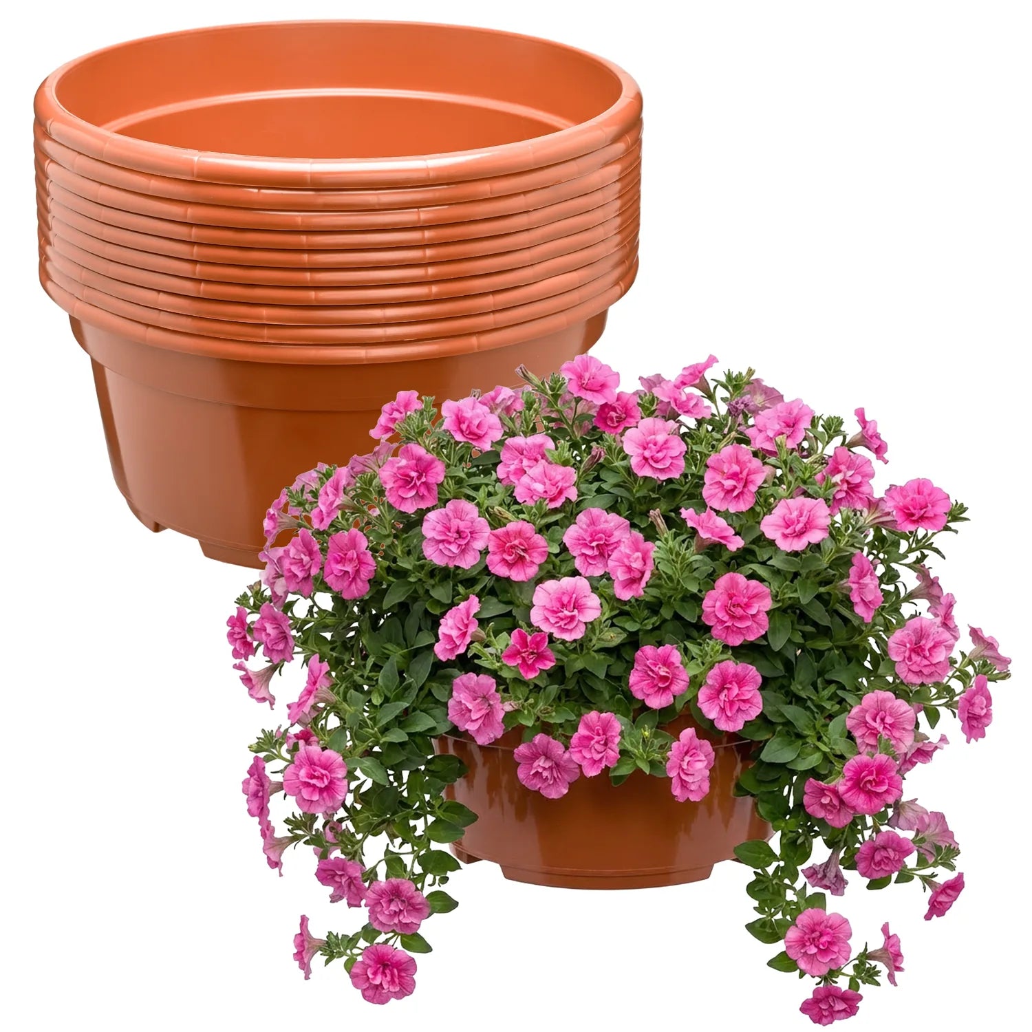 #Größe_Ø25 x 11,5 cm (4,7L)#Menge_10 Stück#Farbe_Terrakotta