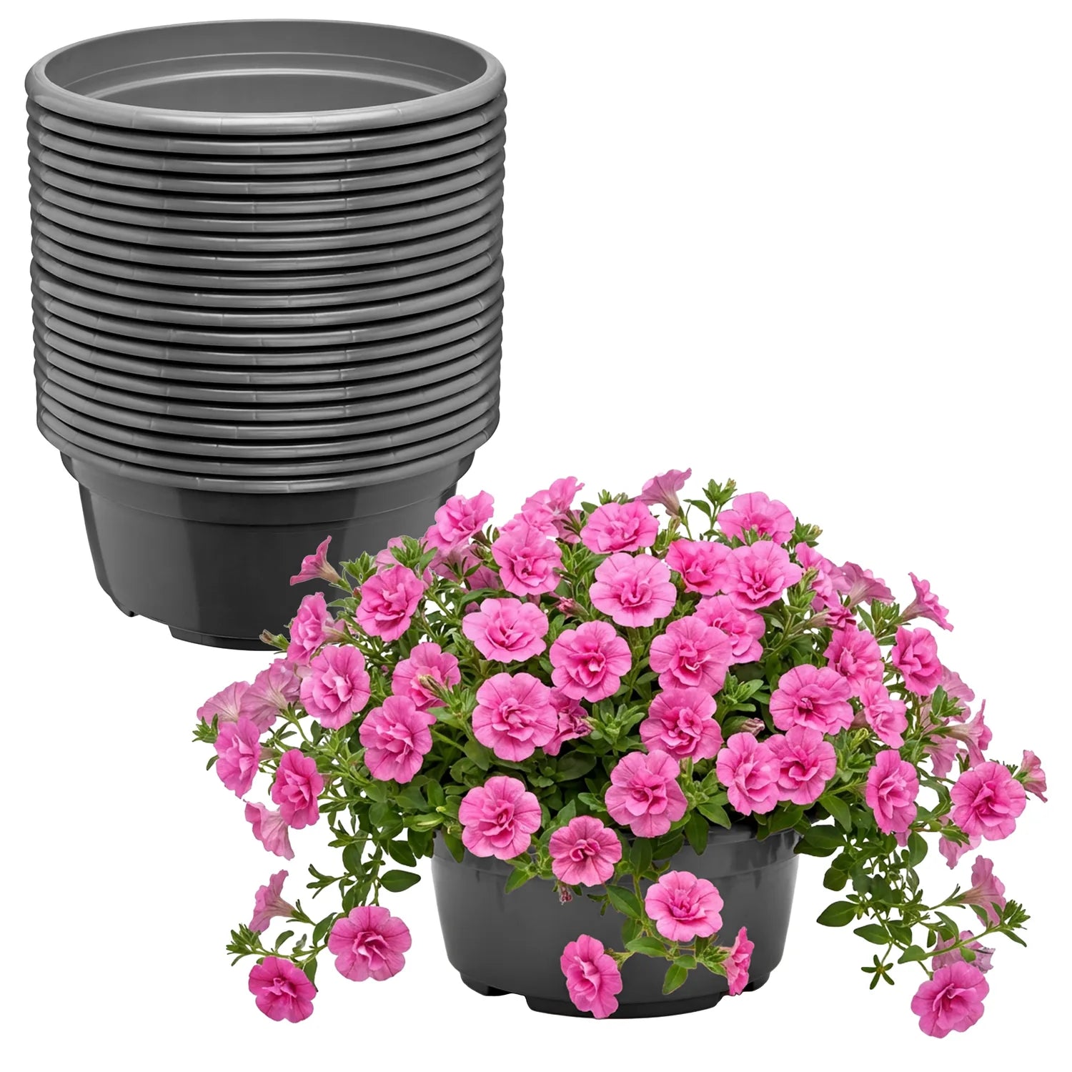 #Größe_Ø23 x 11 cm (3,5L)#Menge_20 Stück#Farbe_Anthrazit