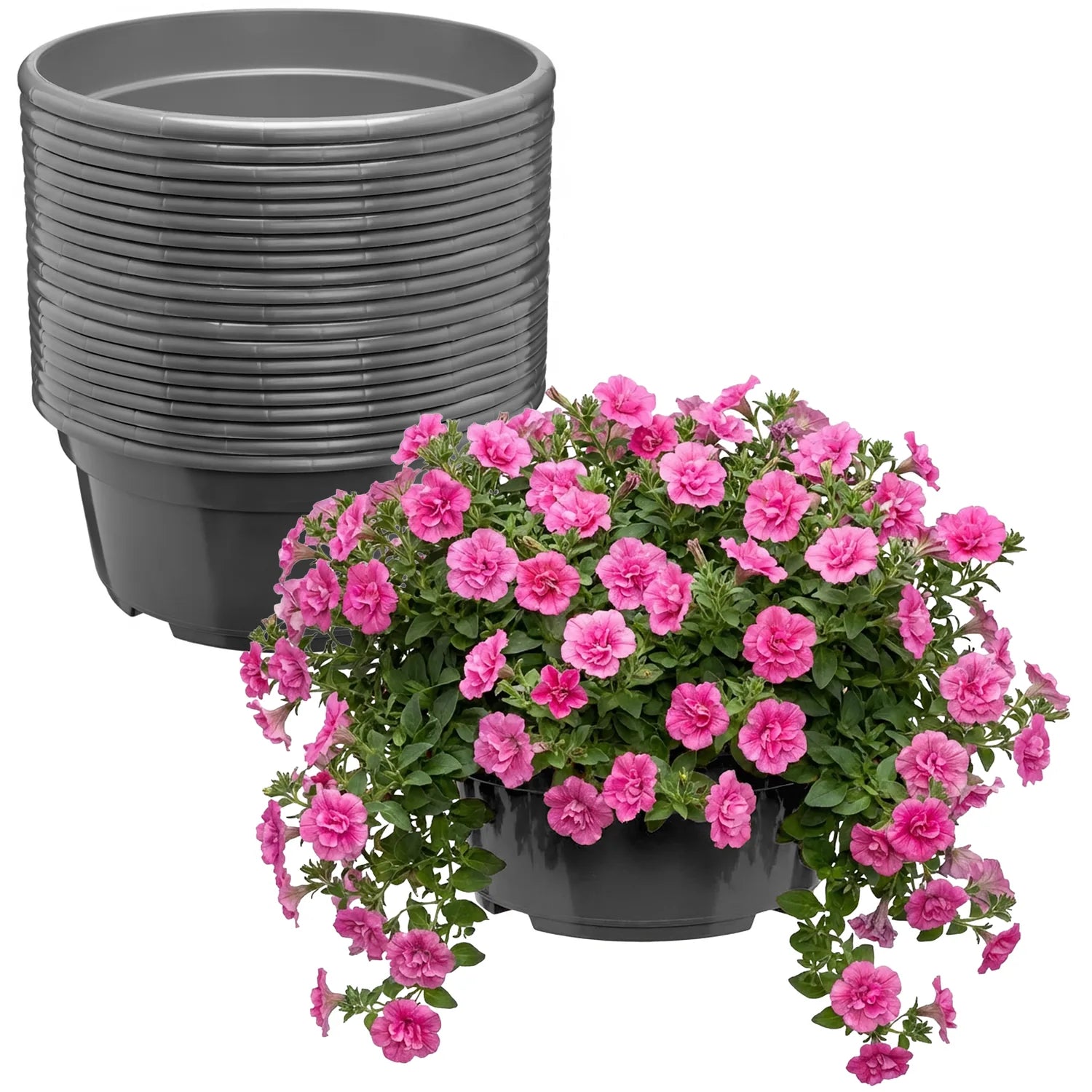 #Größe_Ø25 x 11,5 cm (4,7L)#Menge_20 Stück#Farbe_Anthrazit