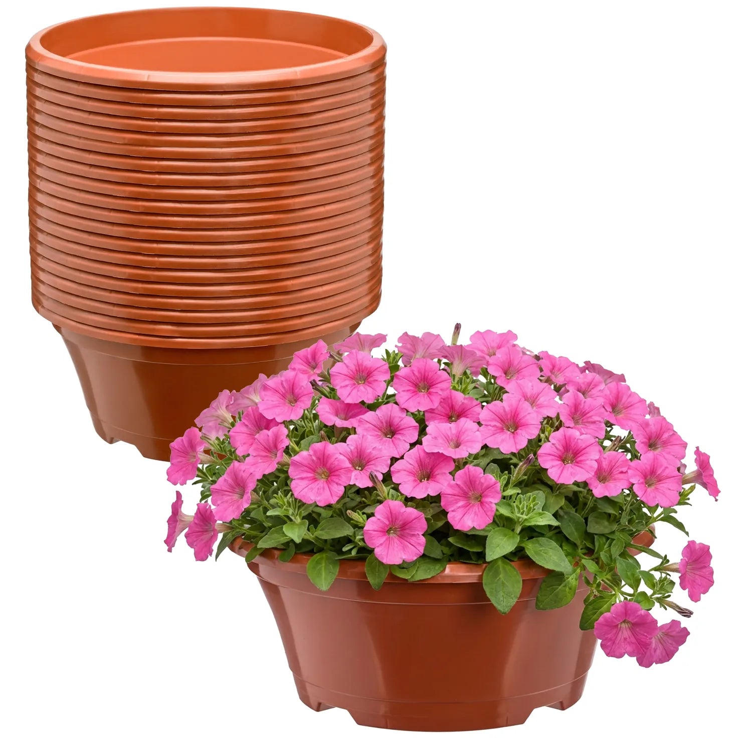 #Größe_Ø 22,5 x 9 cm (2L)#Menge_20 Stück#Farbe_Terrakotta