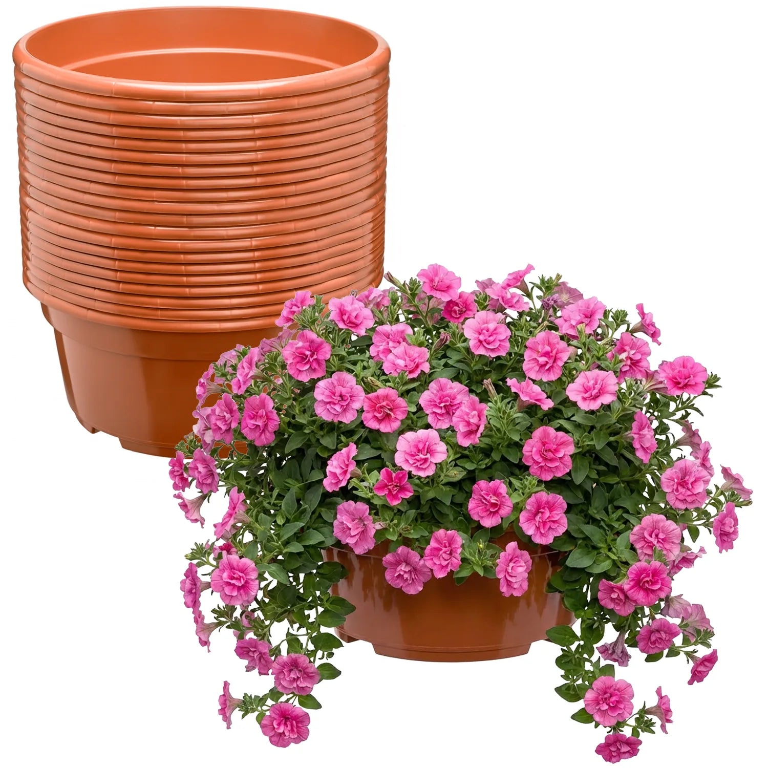 #Größe_Ø25 x 11,5 cm (4,7L)#Menge_20 Stück#Farbe_Terrakotta