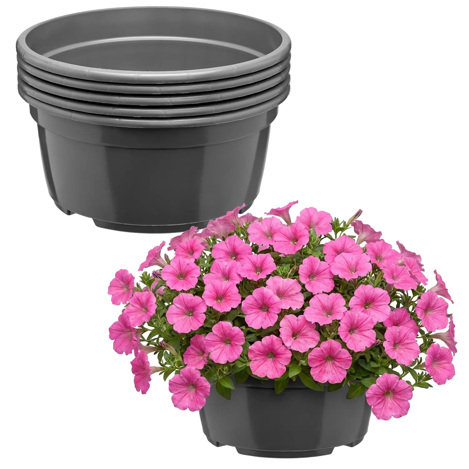 #Größe_Ø 19 x 9,5 cm (2,2L)#Menge_5 Stück#Farbe_Anthrazit