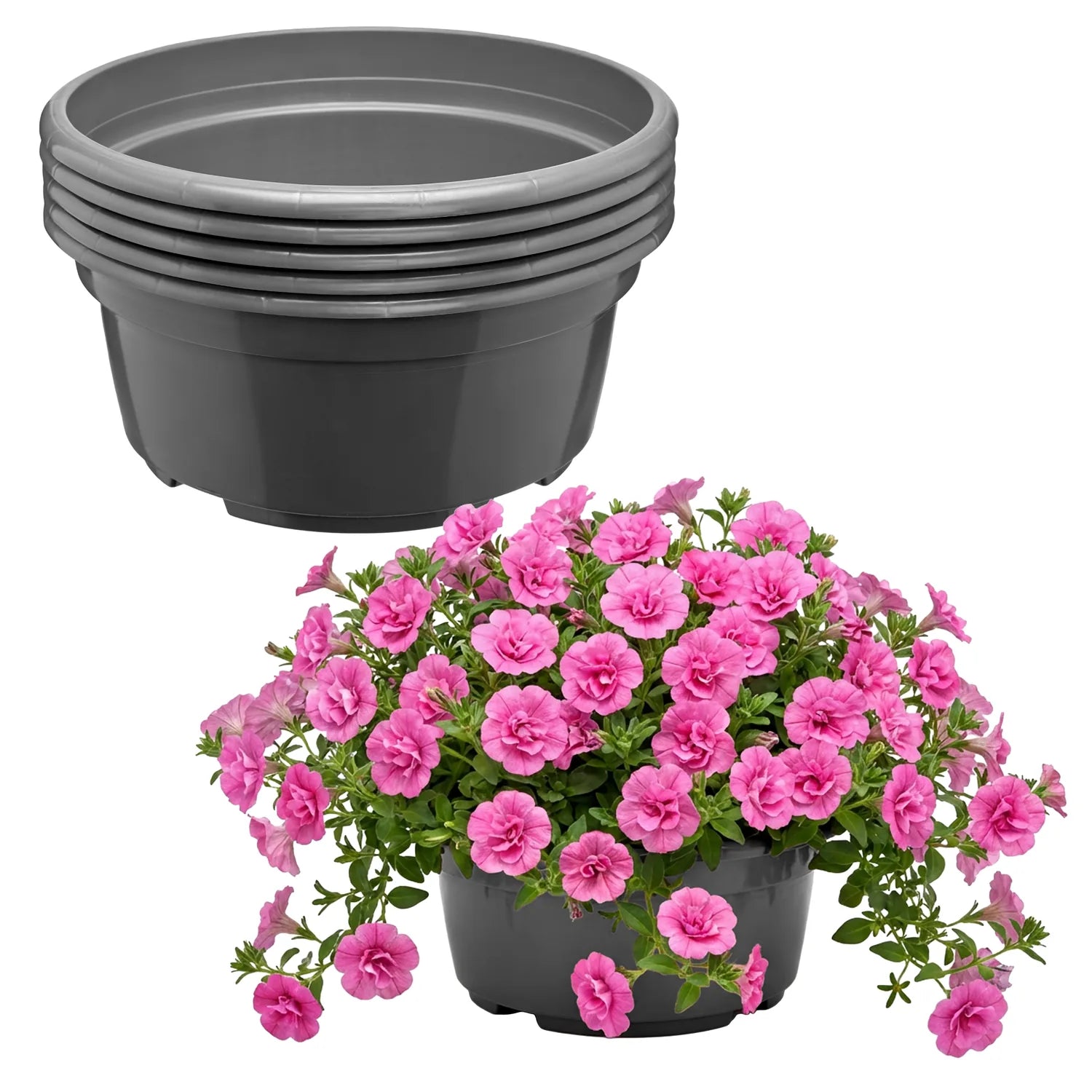 #Größe_Ø23 x 11 cm (3,5L)#Menge_5 Stück#Farbe_Anthrazit
