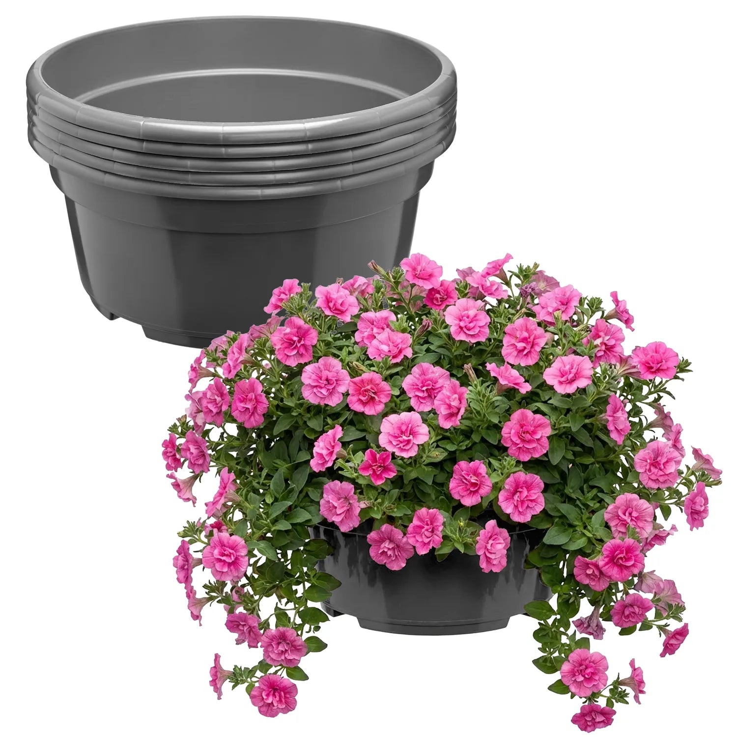 #Größe_Ø25 x 11,5 cm (4,7L)#Menge_5 Stück#Farbe_Anthrazit