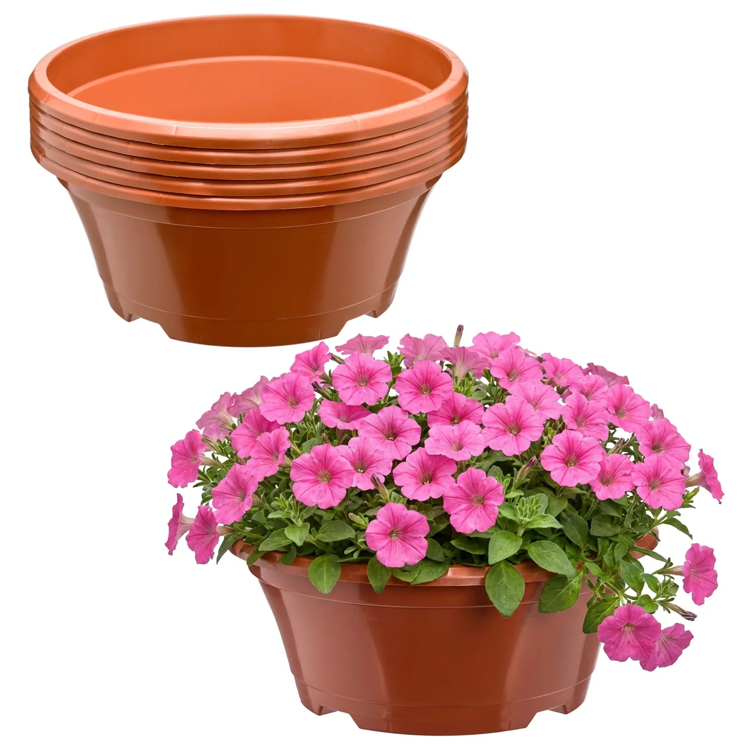 #Größe_Ø 22,5 x 9 cm (2L)#Menge_5 Stück#Farbe_Terrakotta