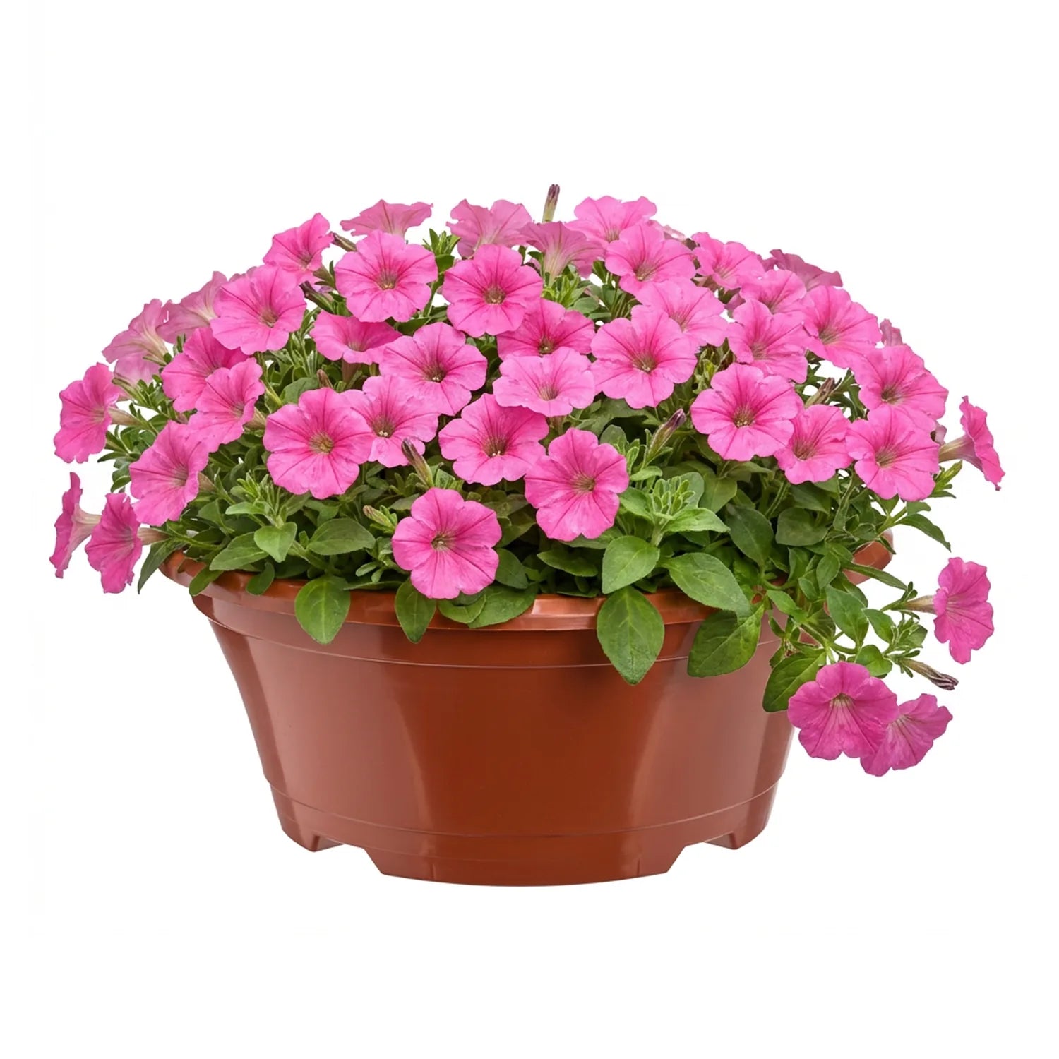 #Größe_Ø 22,5 x 9 cm (2L)#Menge_1 Stück#Farbe_Terrakotta