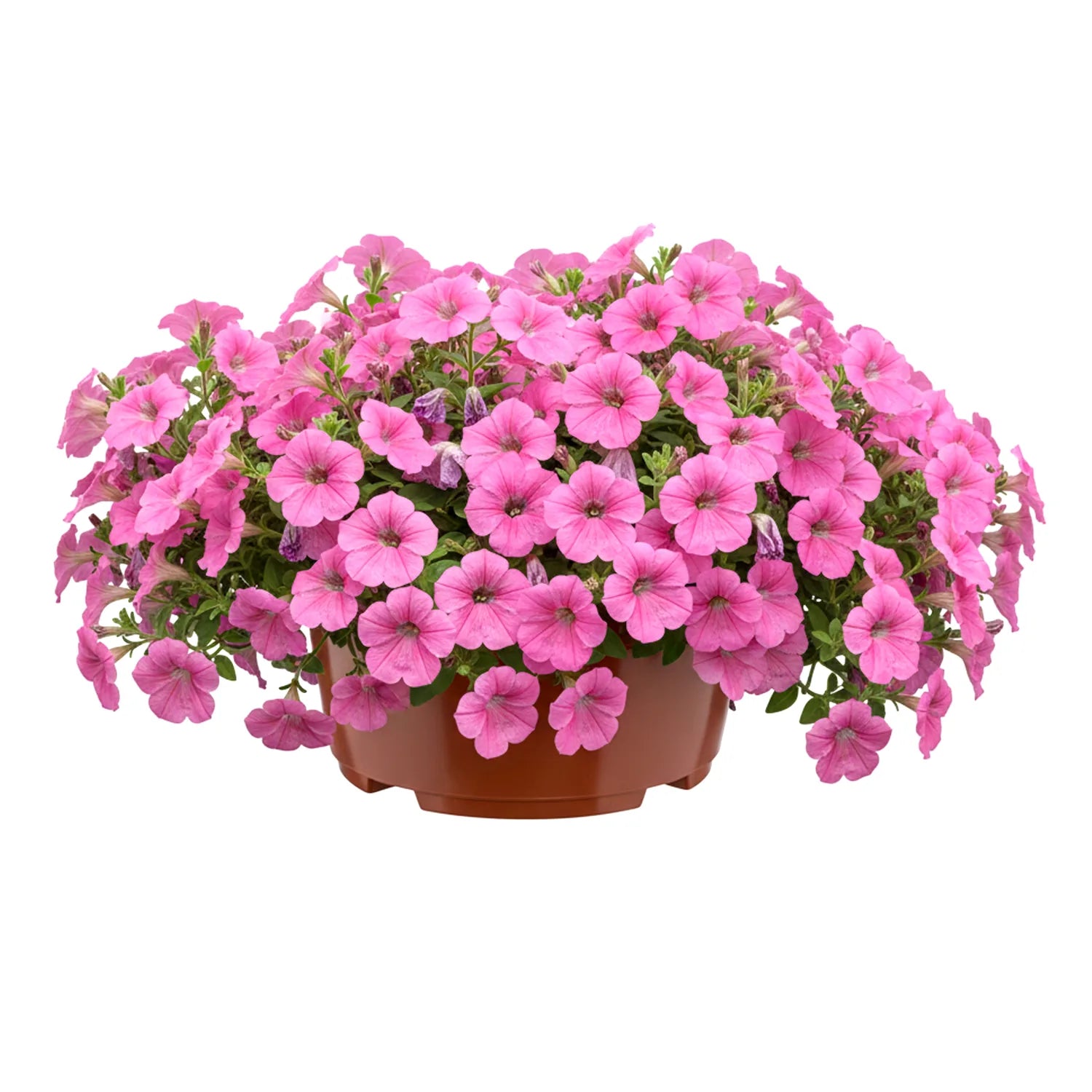 #Größe_Ø21 x 10,5 cm (3L)#Menge_1 Stück#Farbe_Terrakotta
