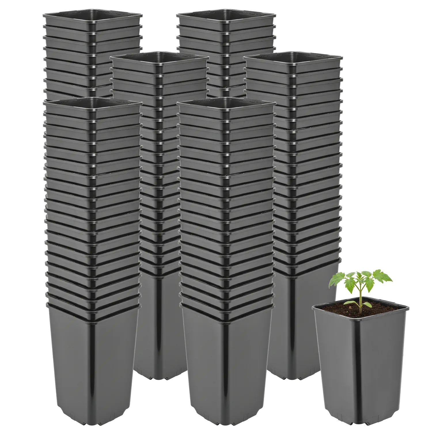 #Größe_9 x 9 x 14 cm (0,8L)#Menge_100 Stück