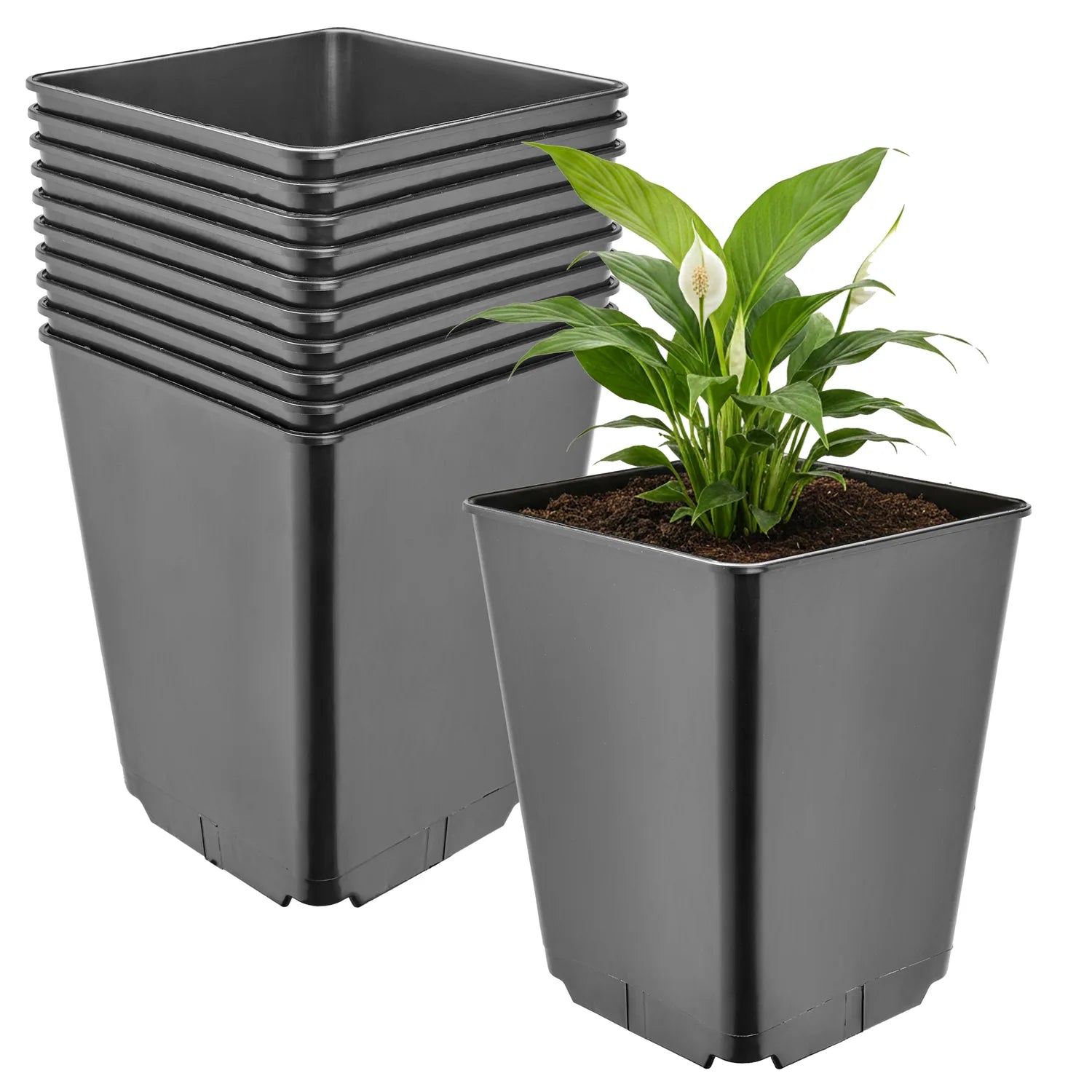 #Größe_16 x 16 x 20 cm (3,5L)#Menge_10 Stück