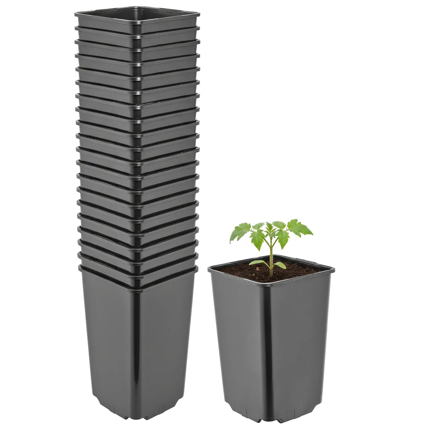 #Größe_9 x 9 x 14 cm (0,8L)#Menge_20 Stück