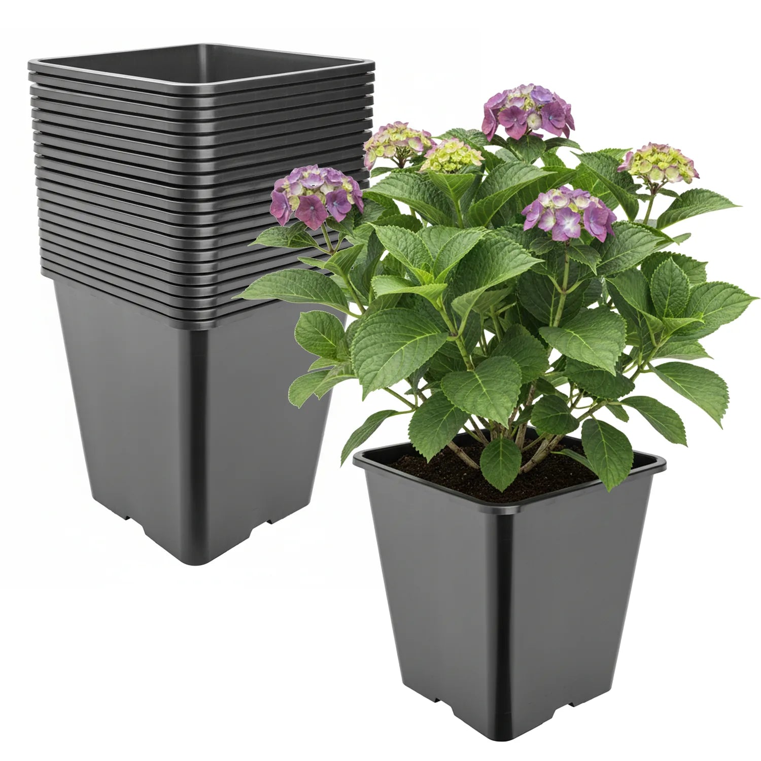 #Größe_25 x 25 x 26 cm (11L)#Menge_20 Stück
