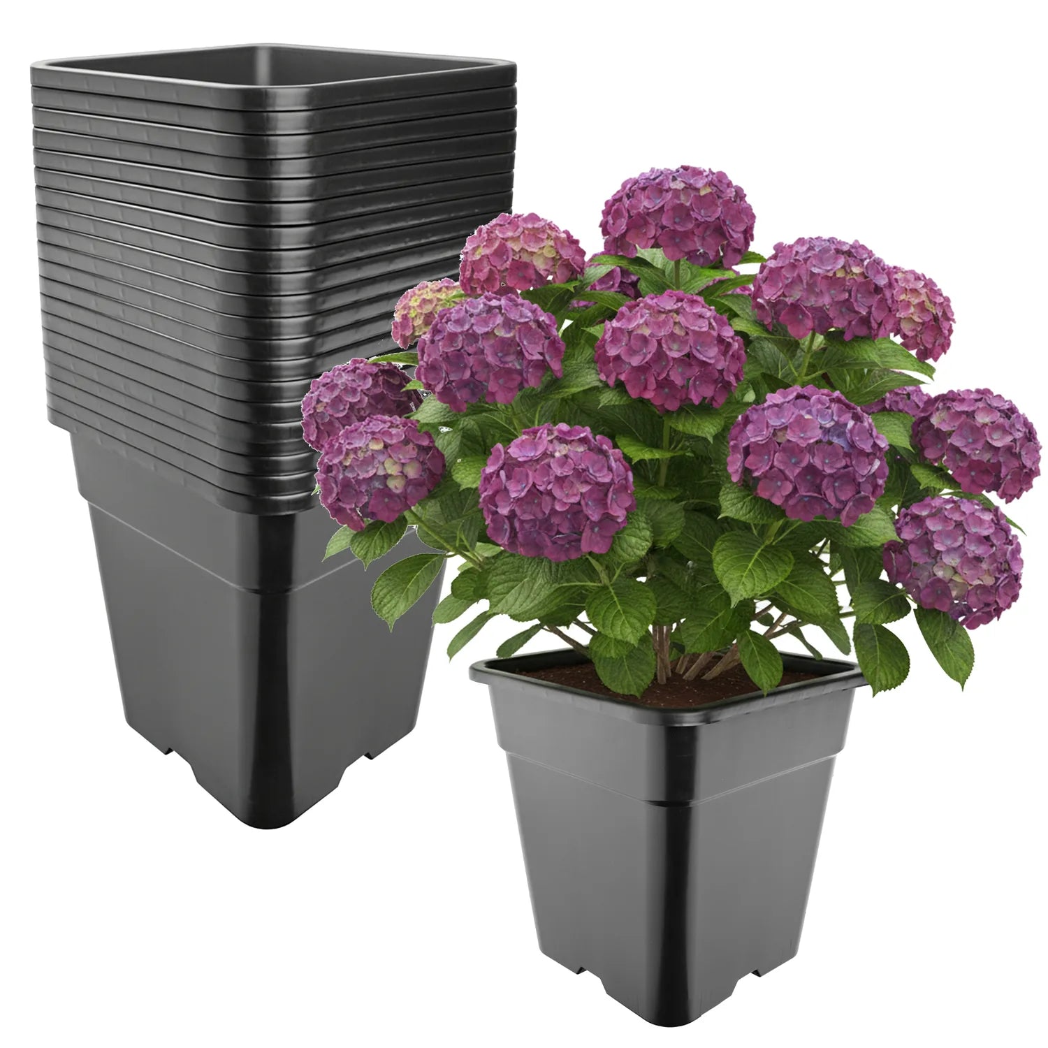 #Größe_33 x 33 x 34 cm (25L)#Menge_20 Stück