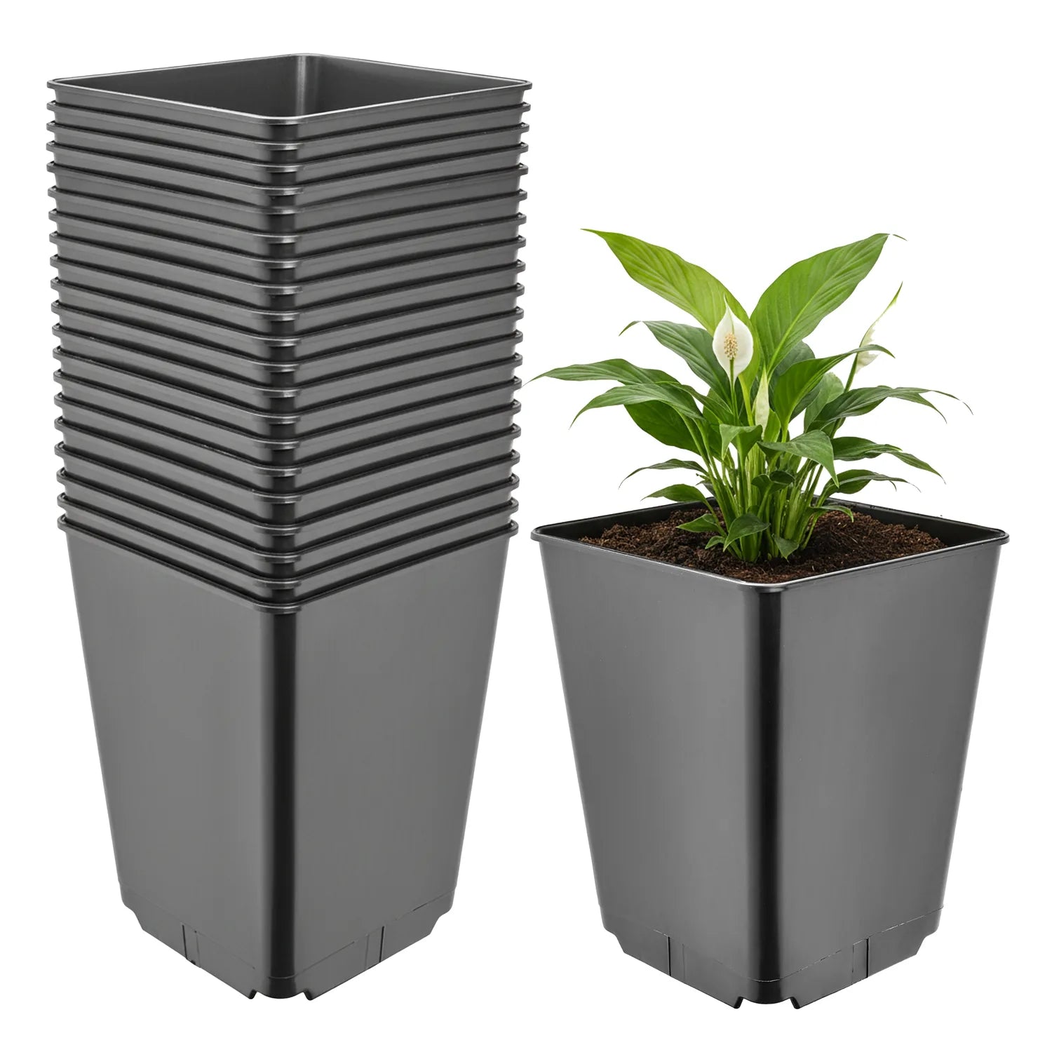 #Größe_16 x 16 x 20 cm (3,5L)#Menge_20 Stück