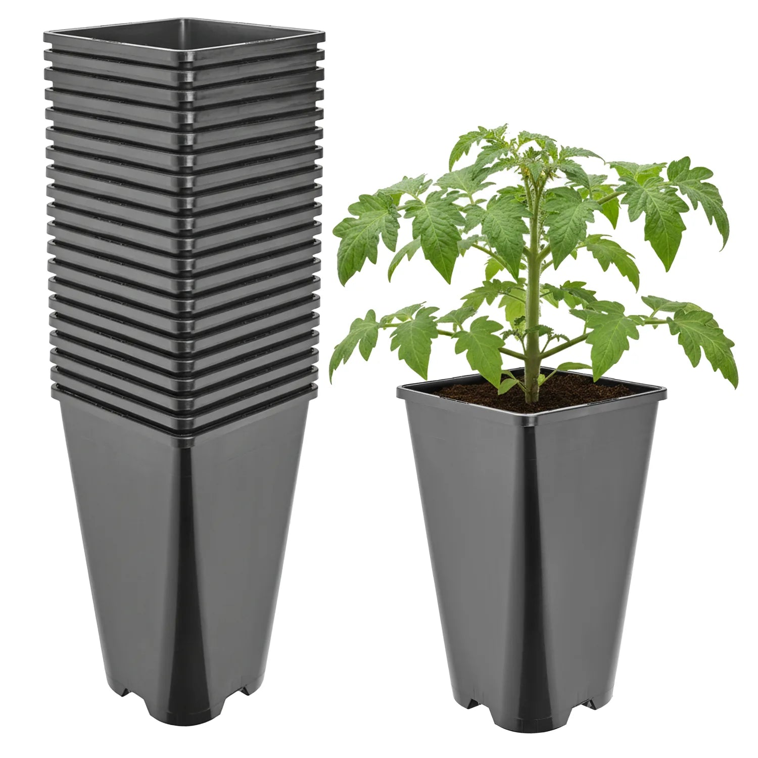 #Größe_13,5 x 13,5 x 23 cm (3L)#Menge_20 Stück