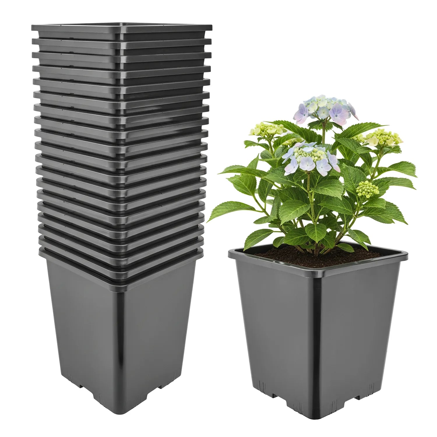 #Größe_20,5 x 20,5 x 23,5 cm (7L)#Menge_20 Stück