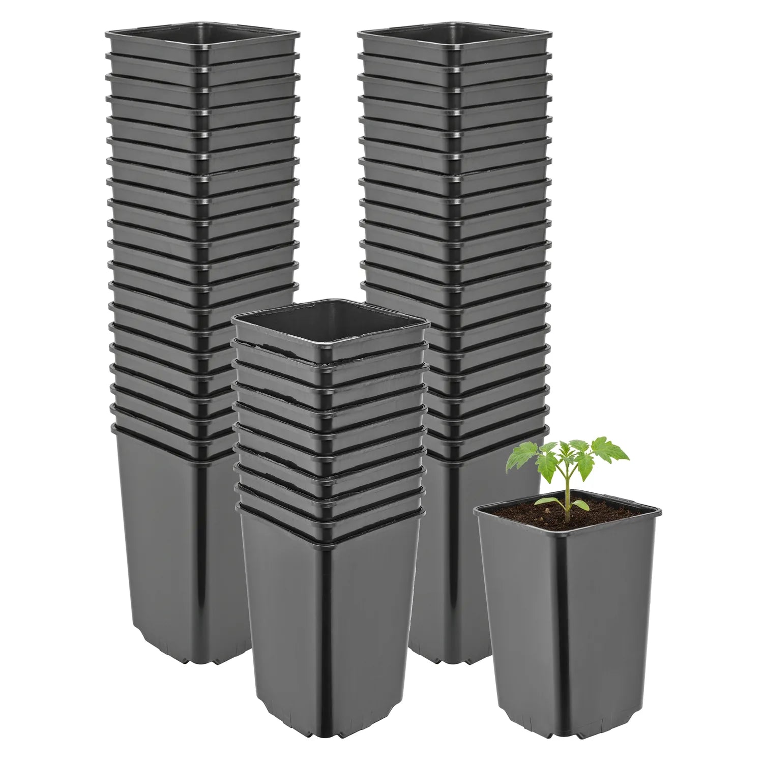 #Größe_9 x 9 x 14 cm (0,8L)#Menge_50 Stück