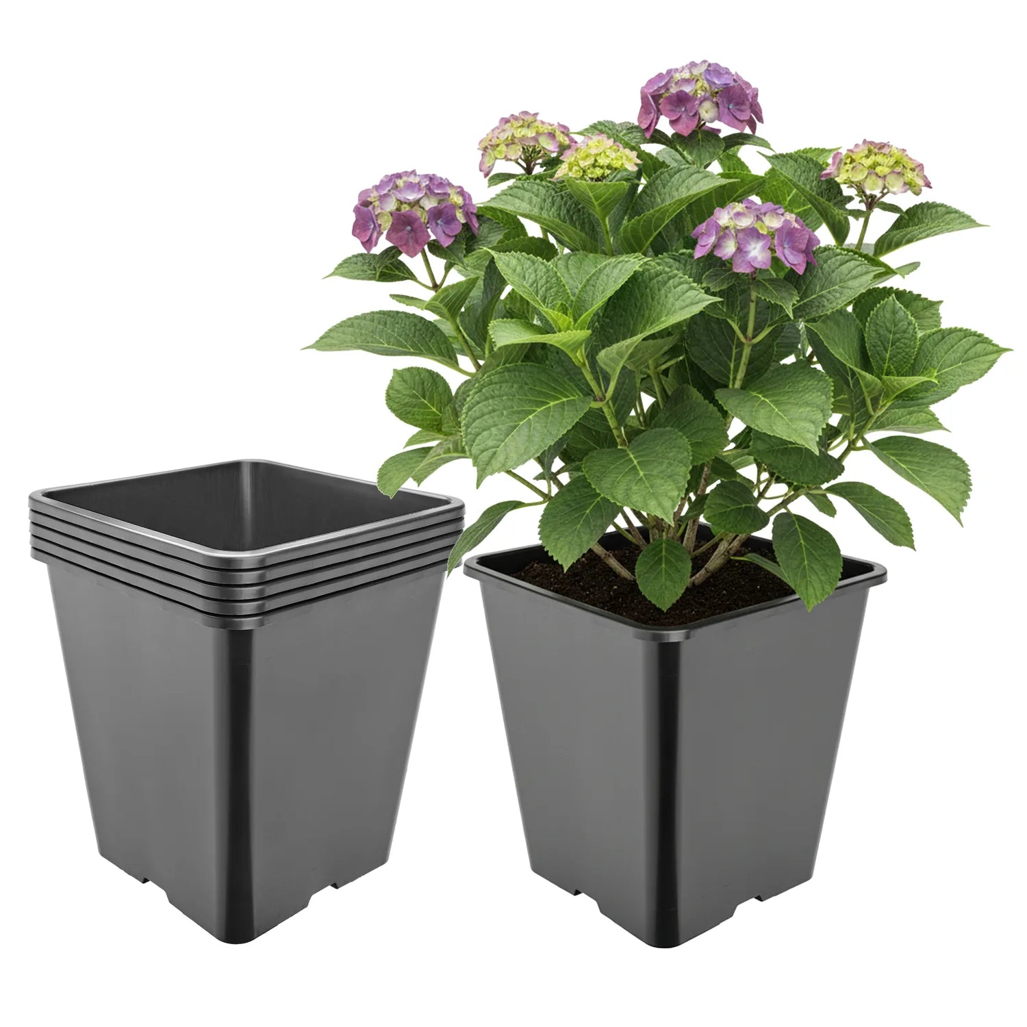#Größe_25 x 25 x 26 cm (11L)#Menge_5 Stück