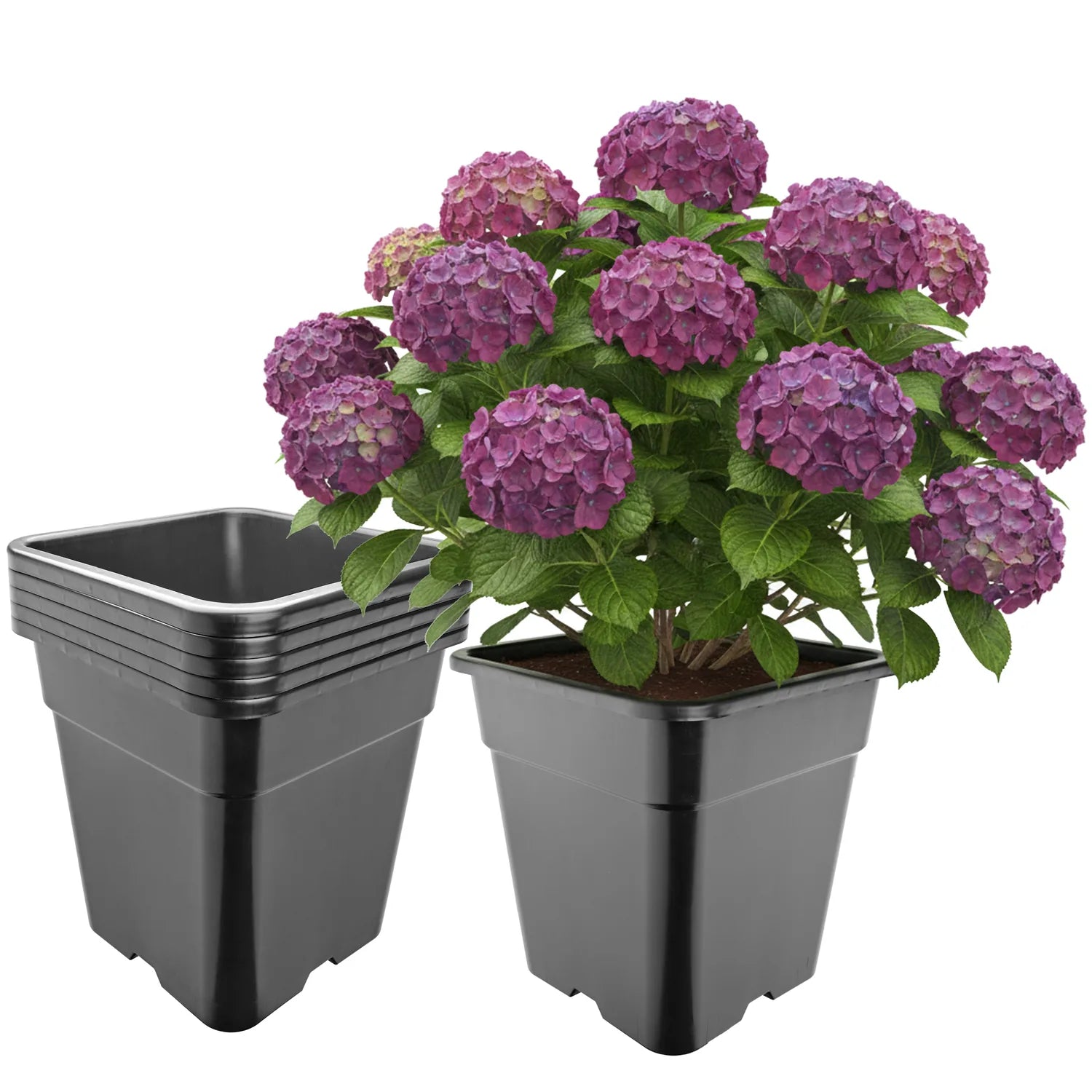 #Größe_33 x 33 x 34 cm (25L)#Menge_5 Stück