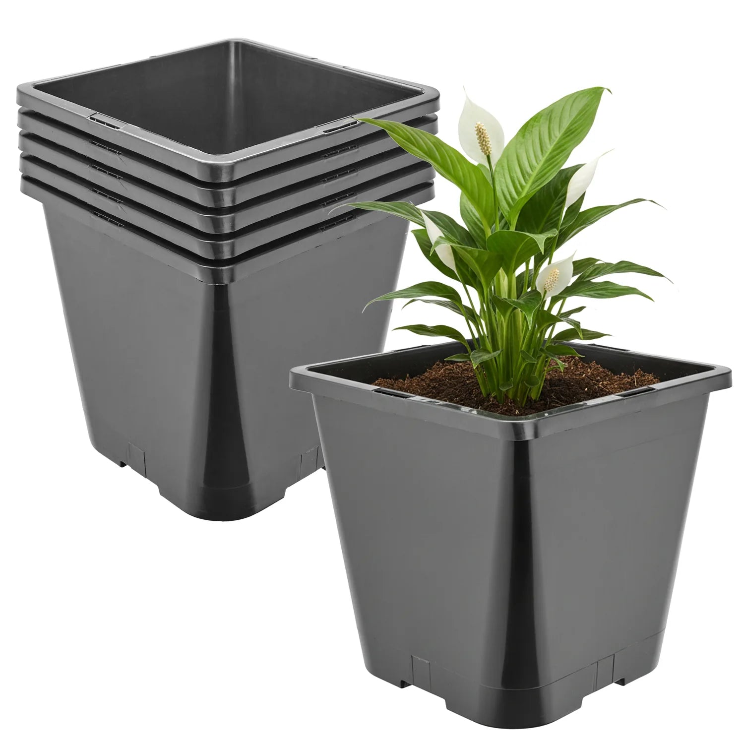 #Größe_20 x 20 x 23 cm (5,6L)#Menge_5 Stück