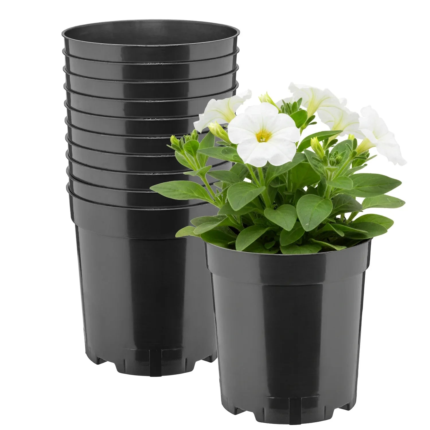 #Größe_Ø14 x 15 cm (2L)#Menge_10 Stück