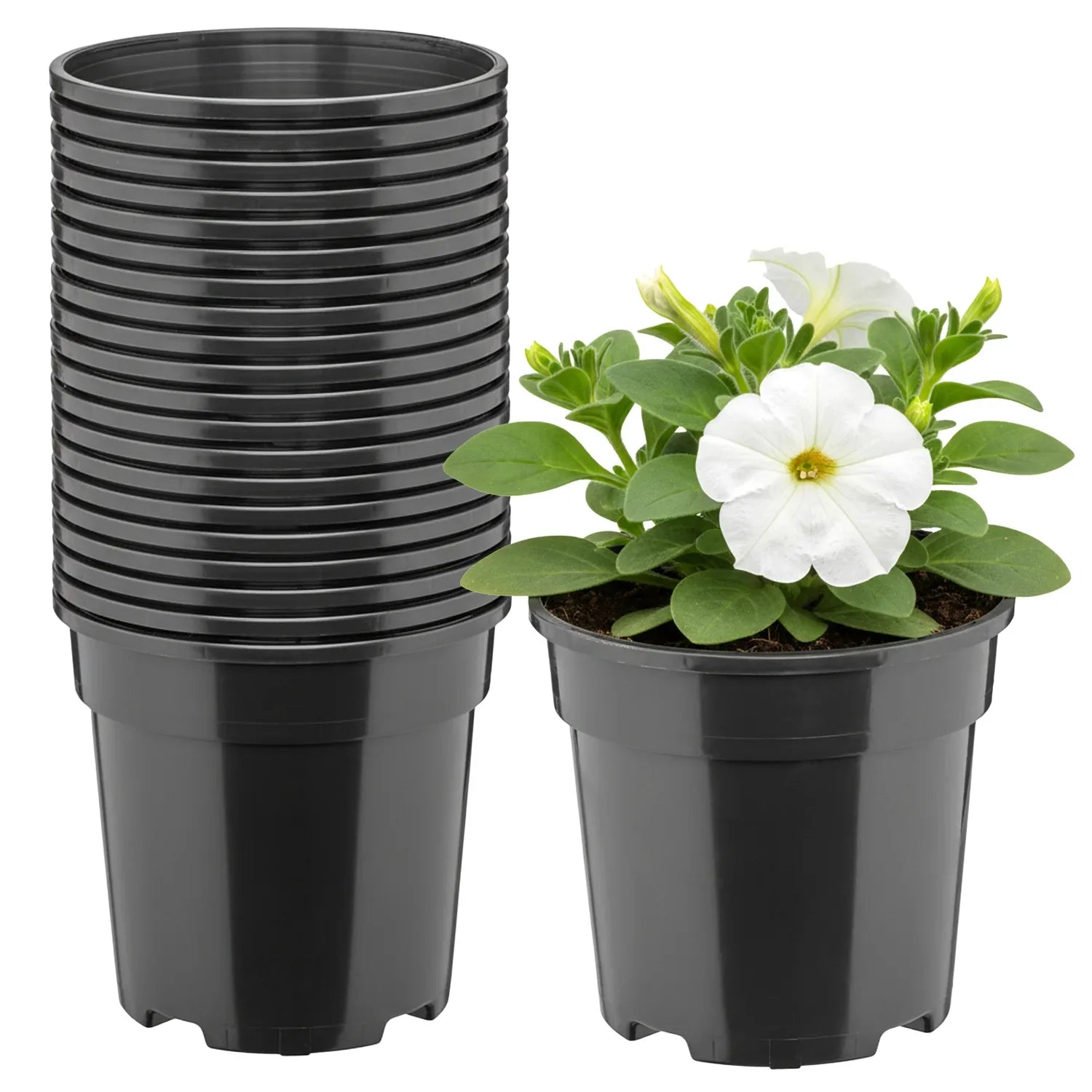 #Größe_Ø13 x 11,5 cm (1L)#Menge_20 Stück