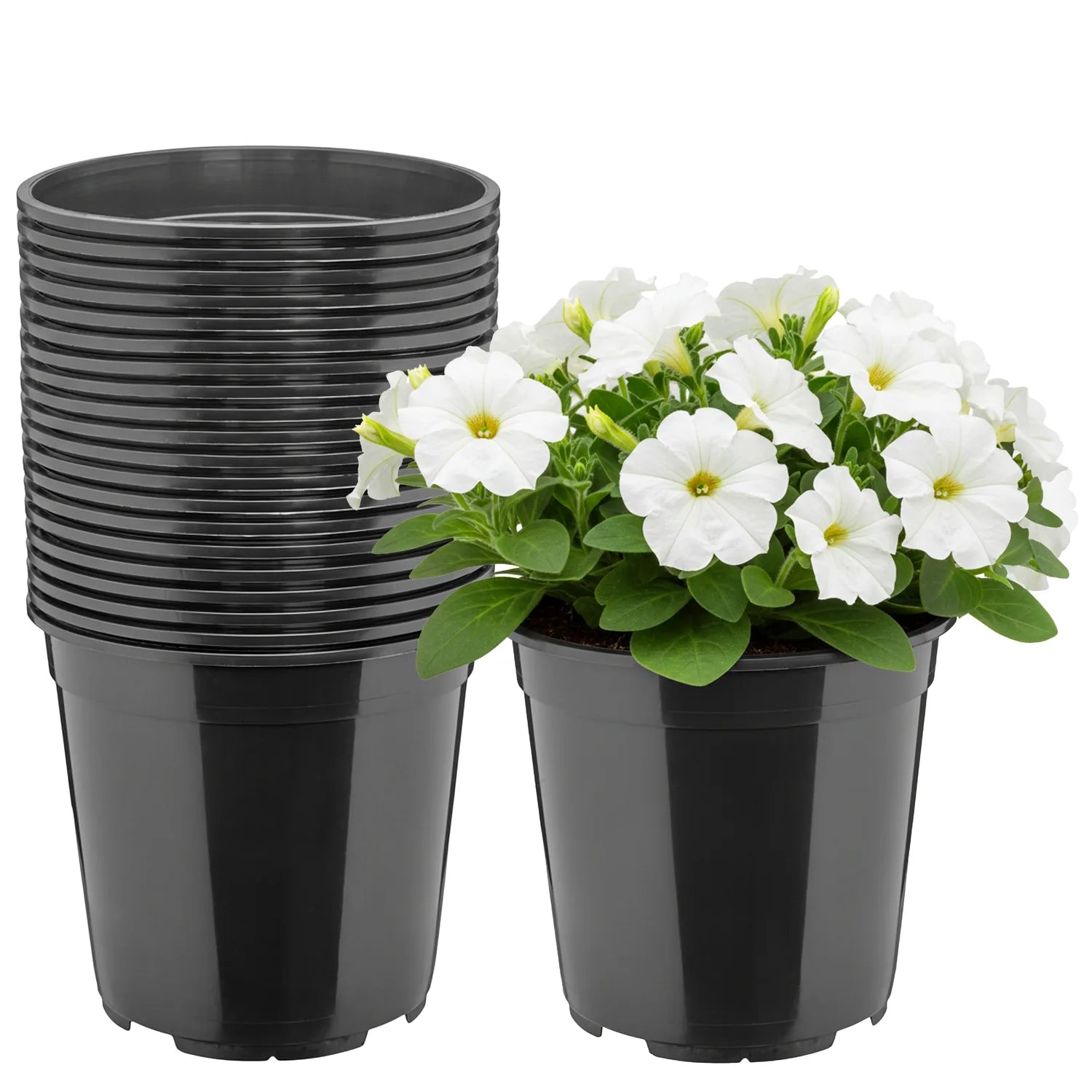 #Größe_Ø20 x 19 cm (4L)#Menge_20 Stück