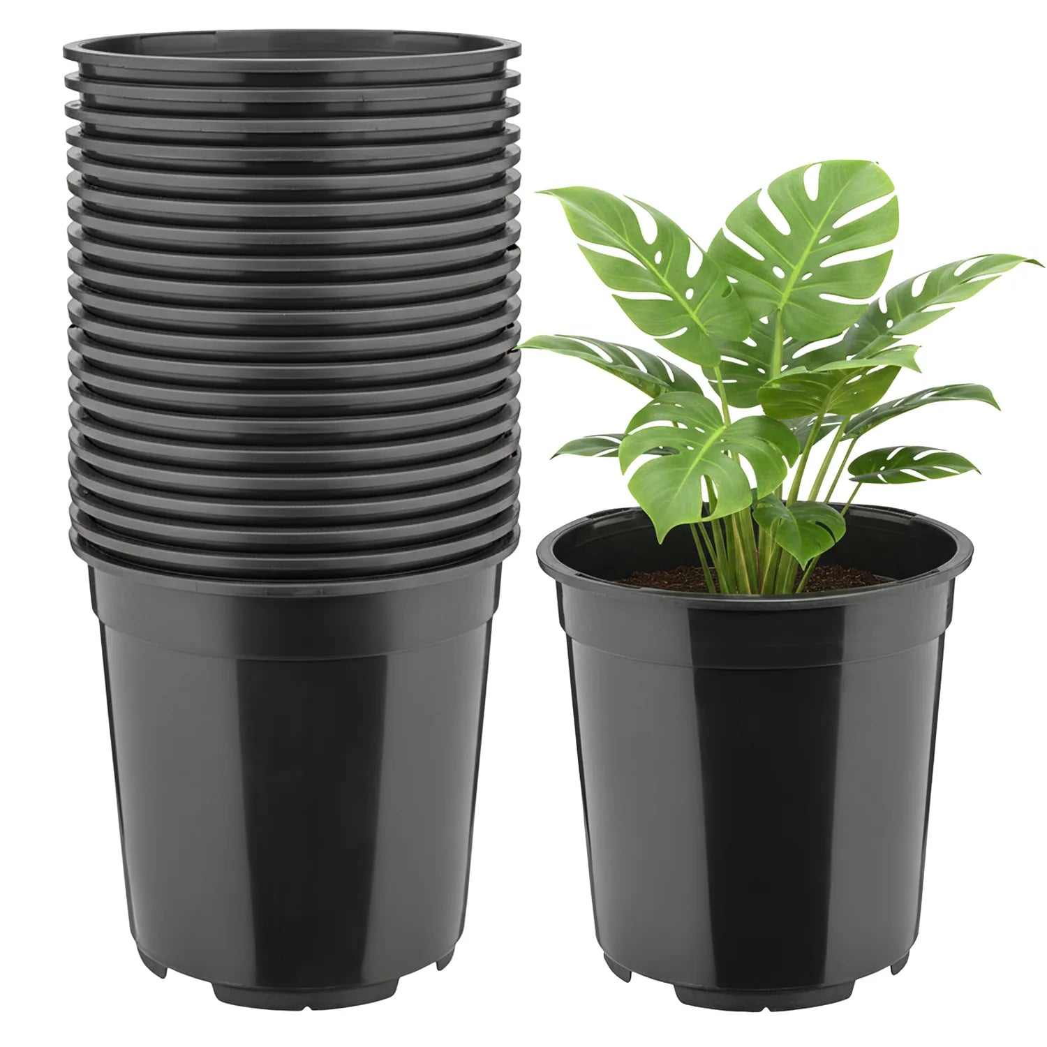 #Größe_Ø21 x 20 cm (5L)#Menge_20 Stück