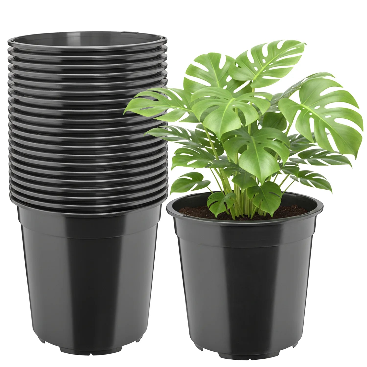 #Größe_Ø24 x 22 cm (7L)#Menge_20 Stück