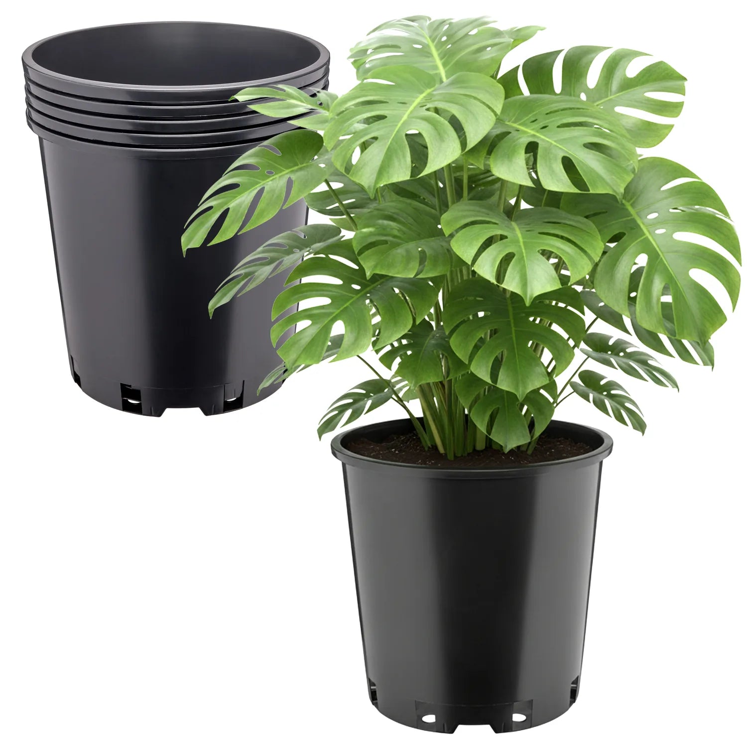 #Größe_Ø26 x 26 cm (12L)#Menge_5 Stück