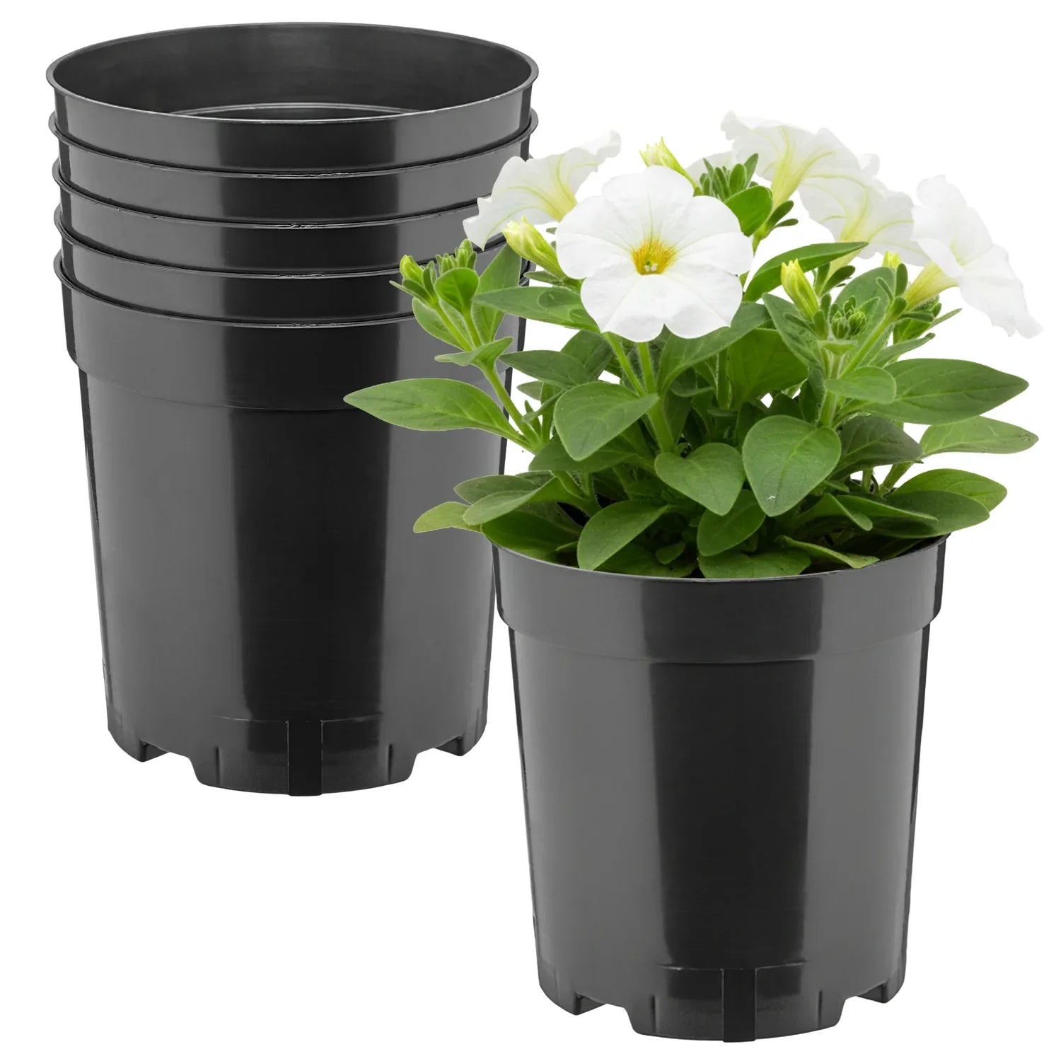 #Größe_Ø14 x 15 cm (2L)#Menge_5 Stück