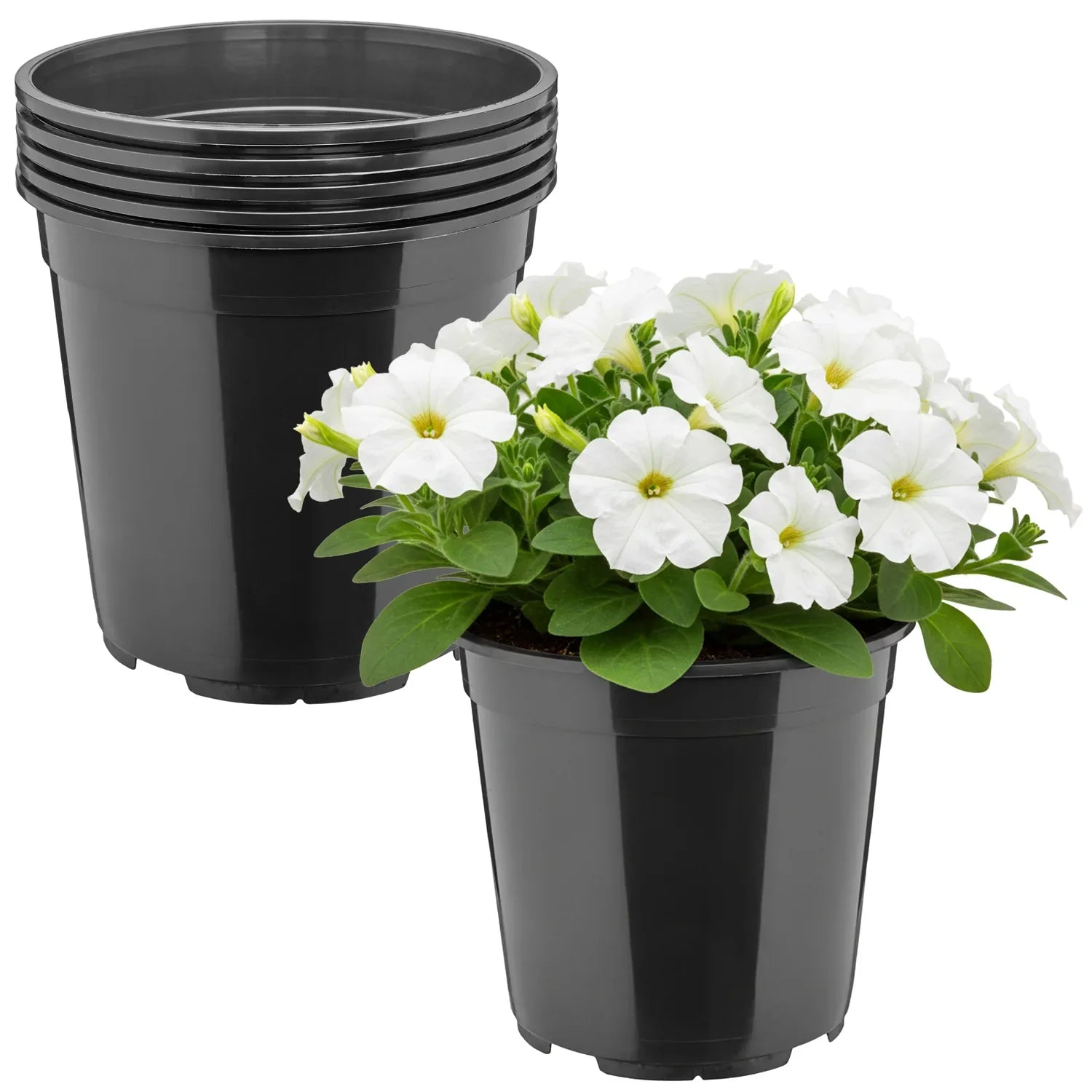 #Größe_Ø20 x 19 cm (4L)#Menge_5 Stück