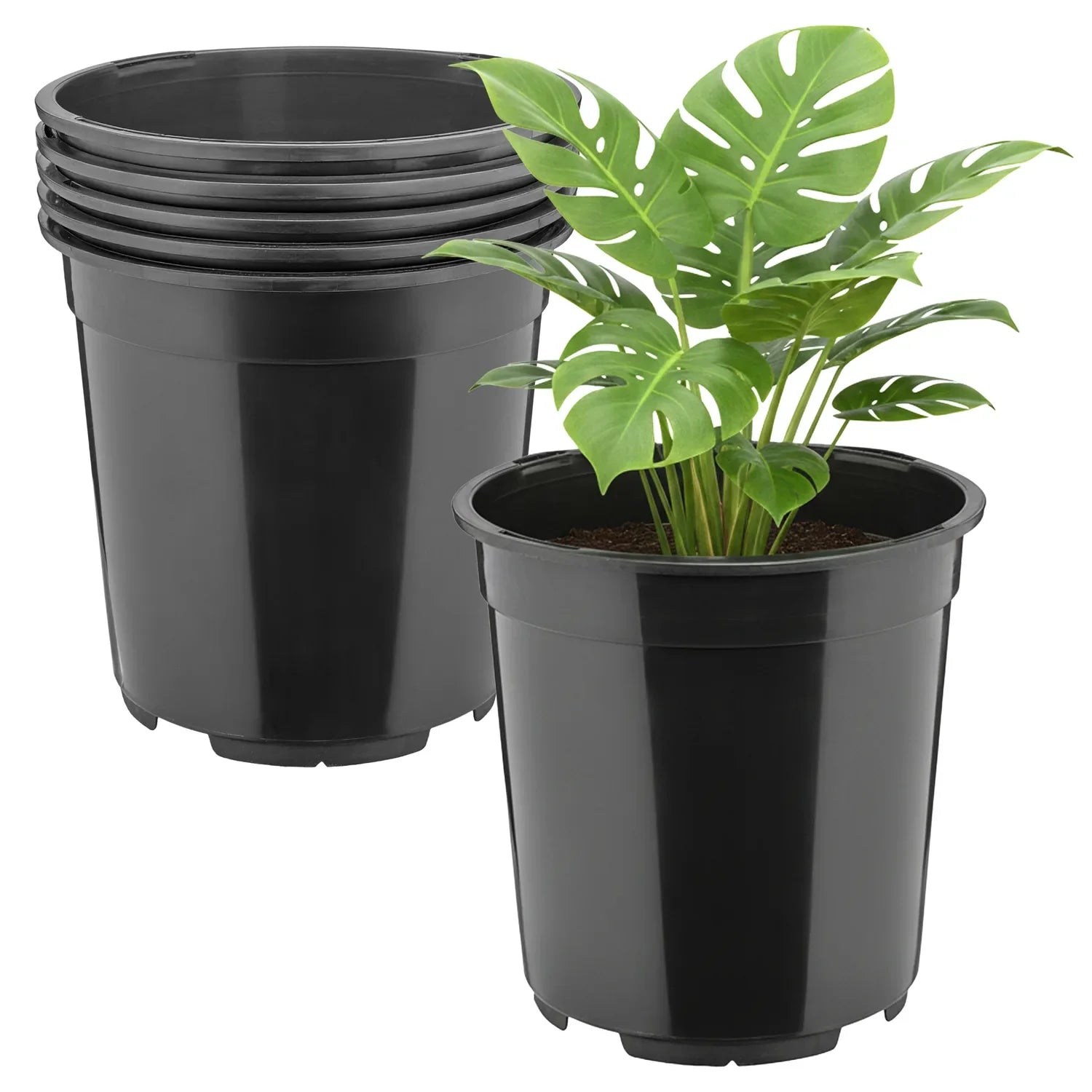 #Größe_Ø21 x 20 cm (5L)#Menge_5 Stück