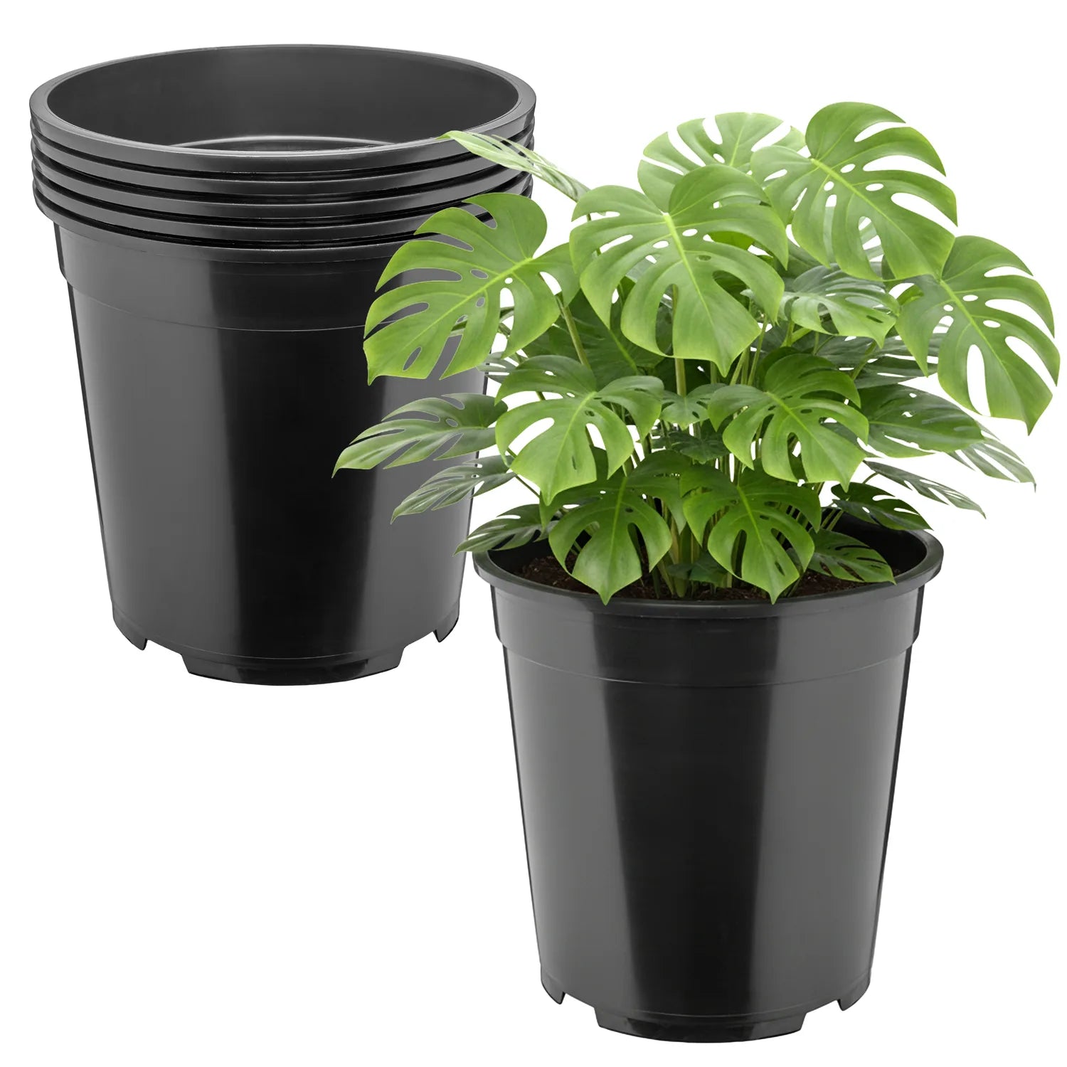 #Größe_Ø25 x 24 cm (9,5L)#Menge_5 Stück