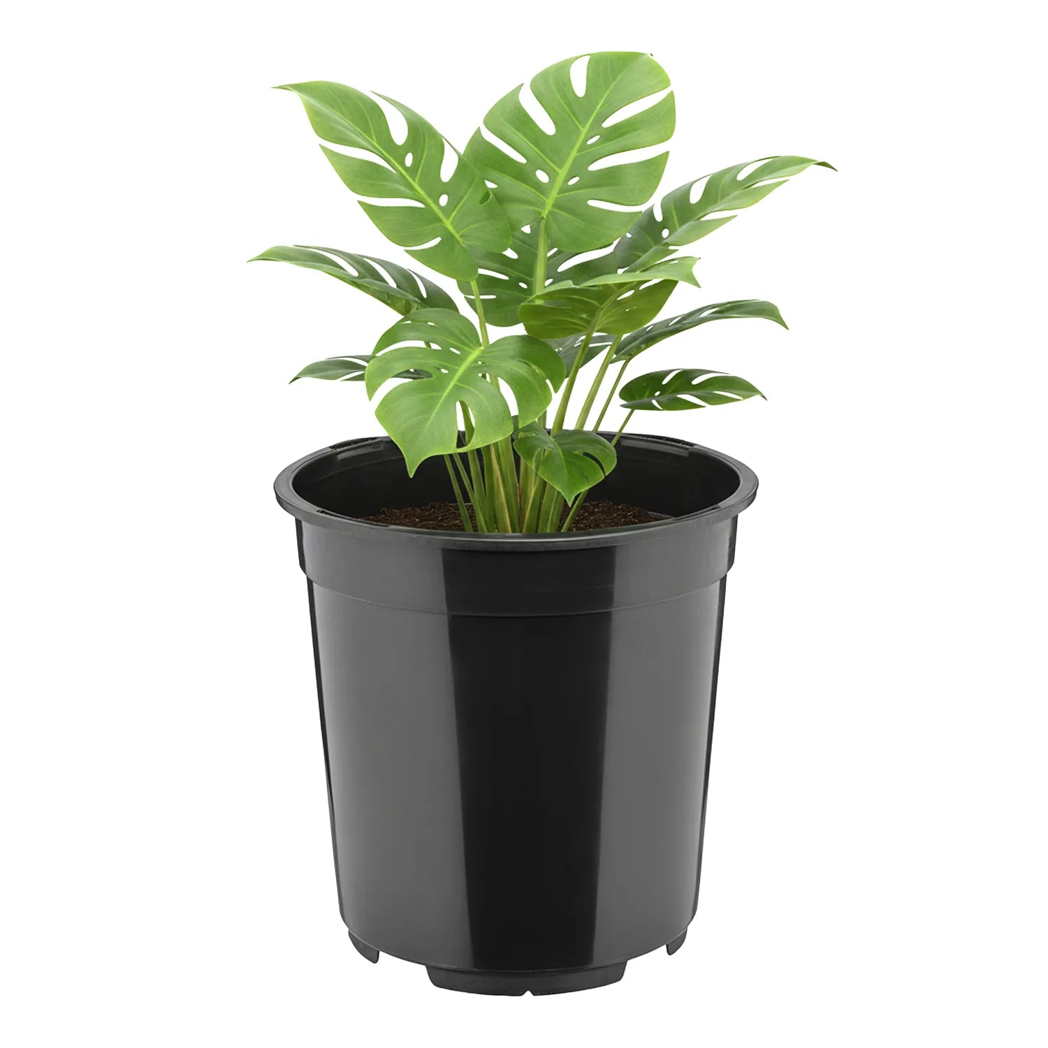 #Größe_Ø21 x 20 cm (5L)#Menge_1 Stück