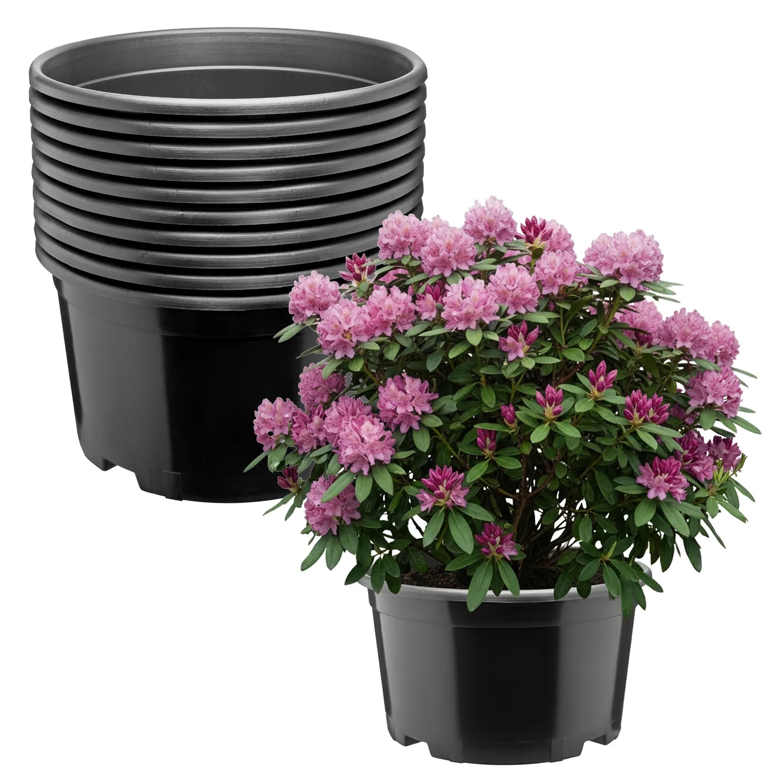 #Größe_Ø34 x 19 cm (12L)#Menge_10 Stück