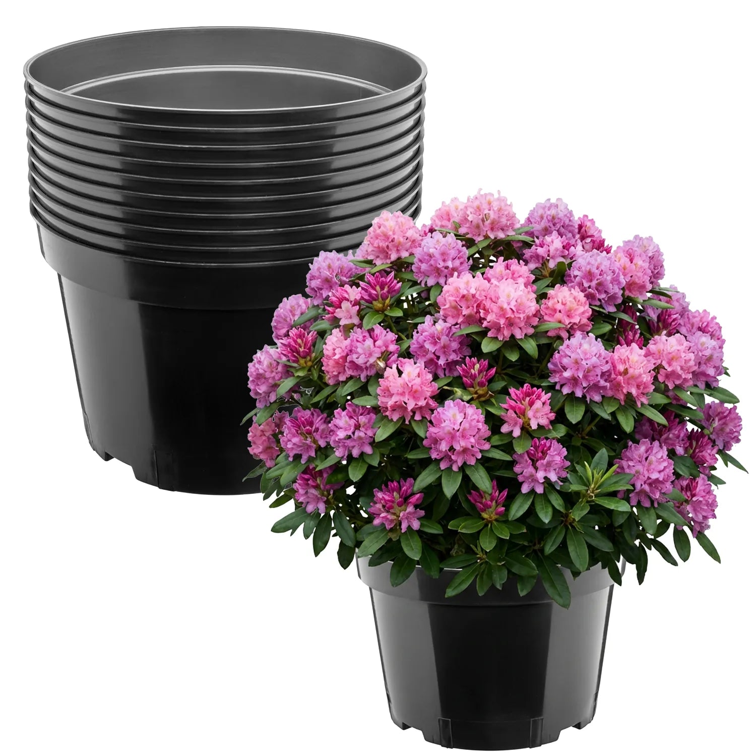 #Größe_Ø34 x 22 cm (15L)#Menge_10 Stück