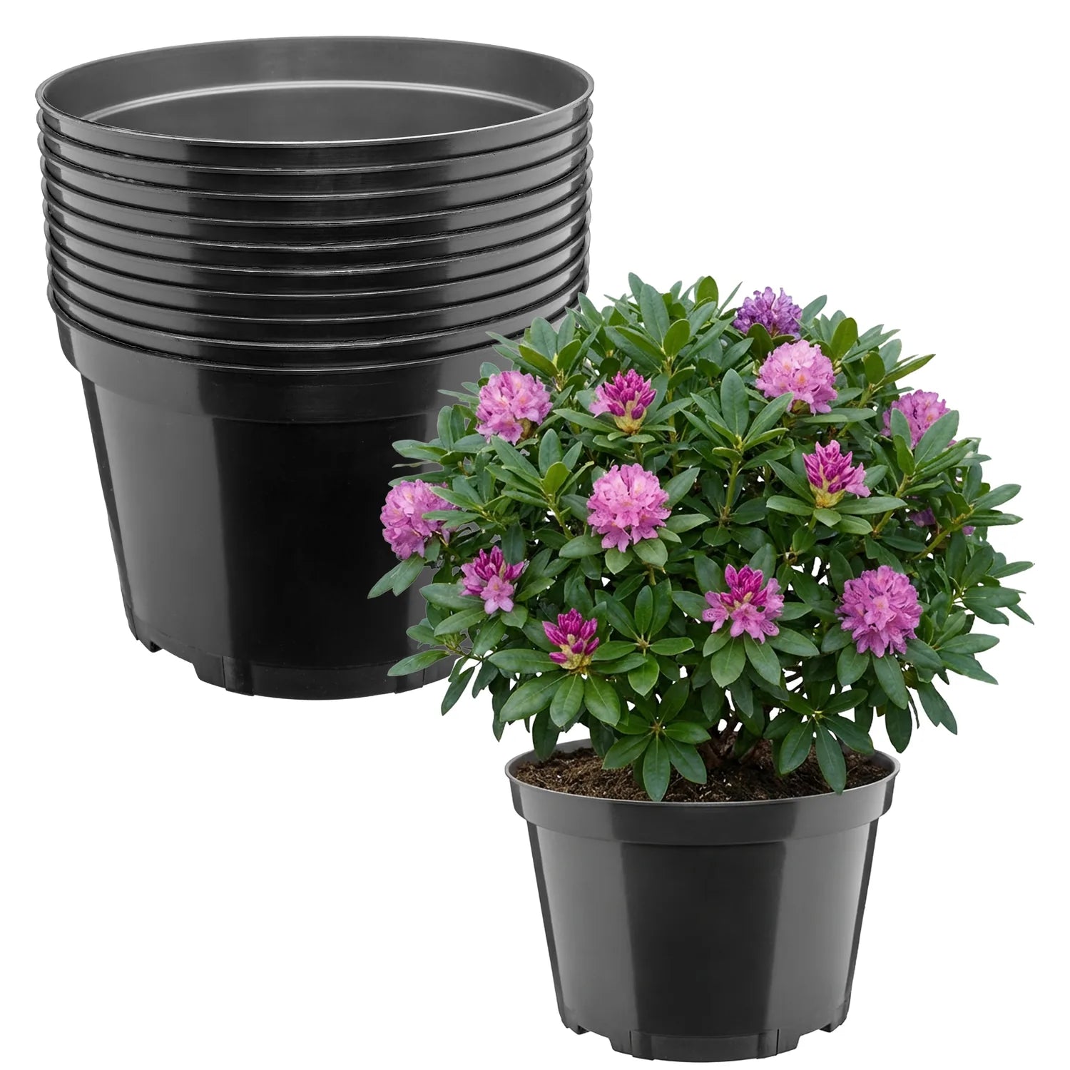 #Größe_Ø27 x 17,5 cm (7,5L)#Menge_10 Stück