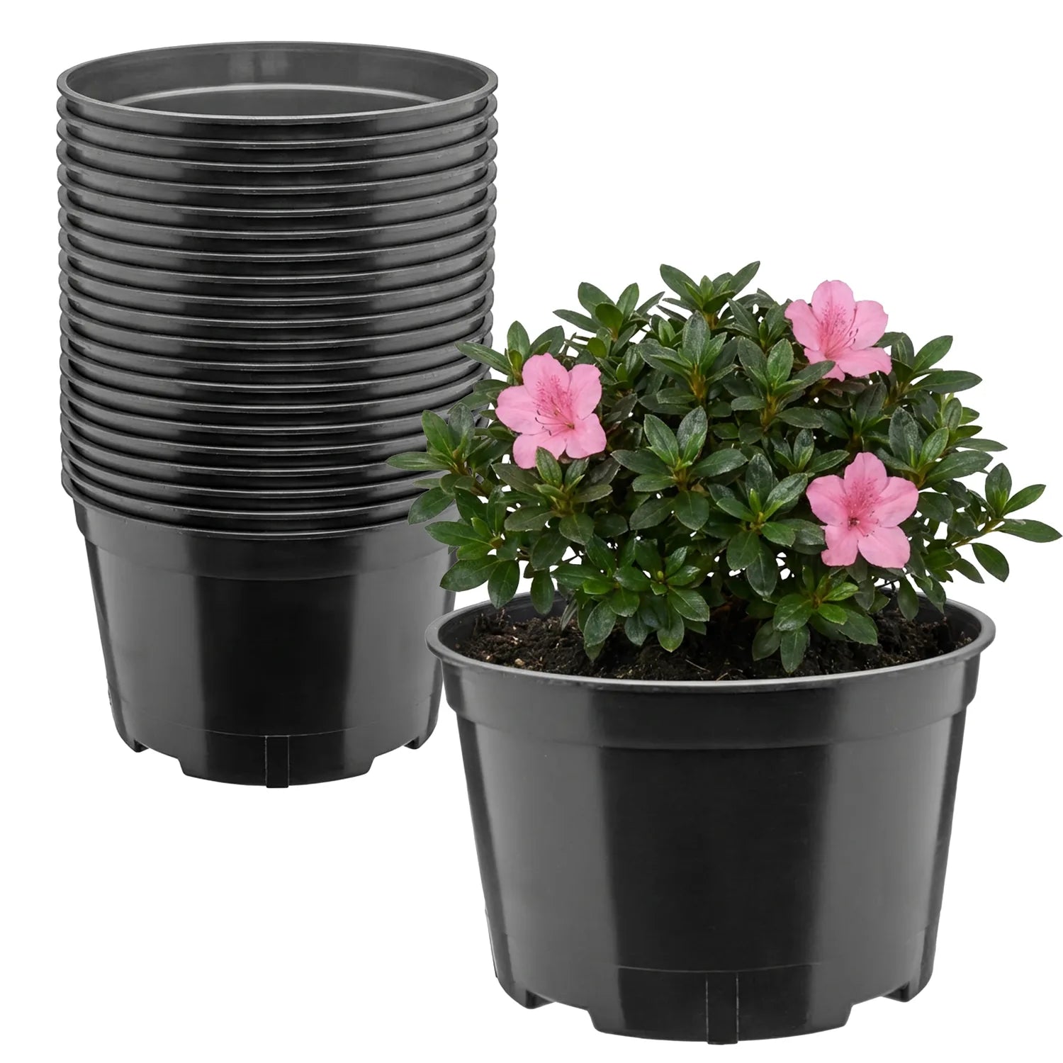 #Größe_Ø18 x 11,5 cm (2L)#Menge_20 Stück