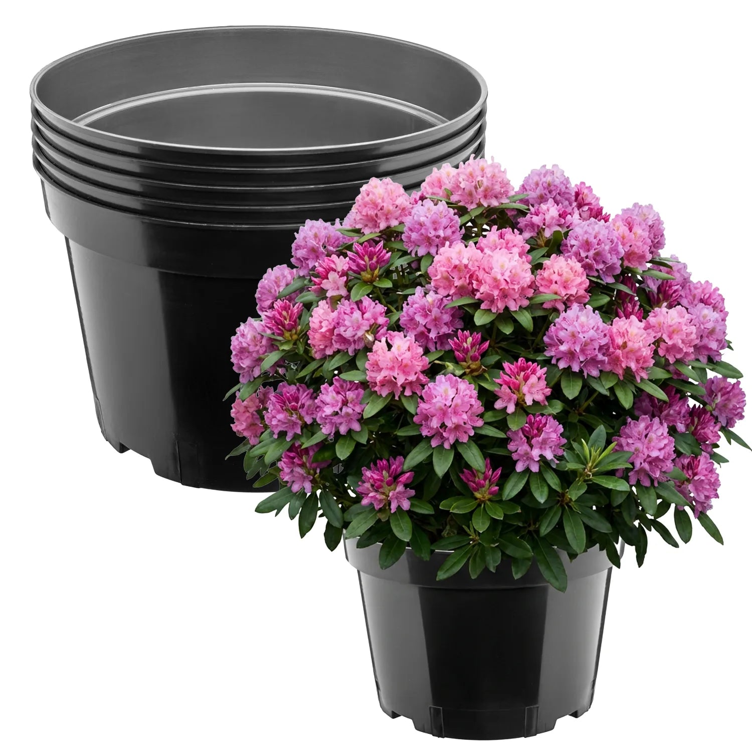 #Größe_Ø34 x 22 cm (15L)#Menge_5 Stück