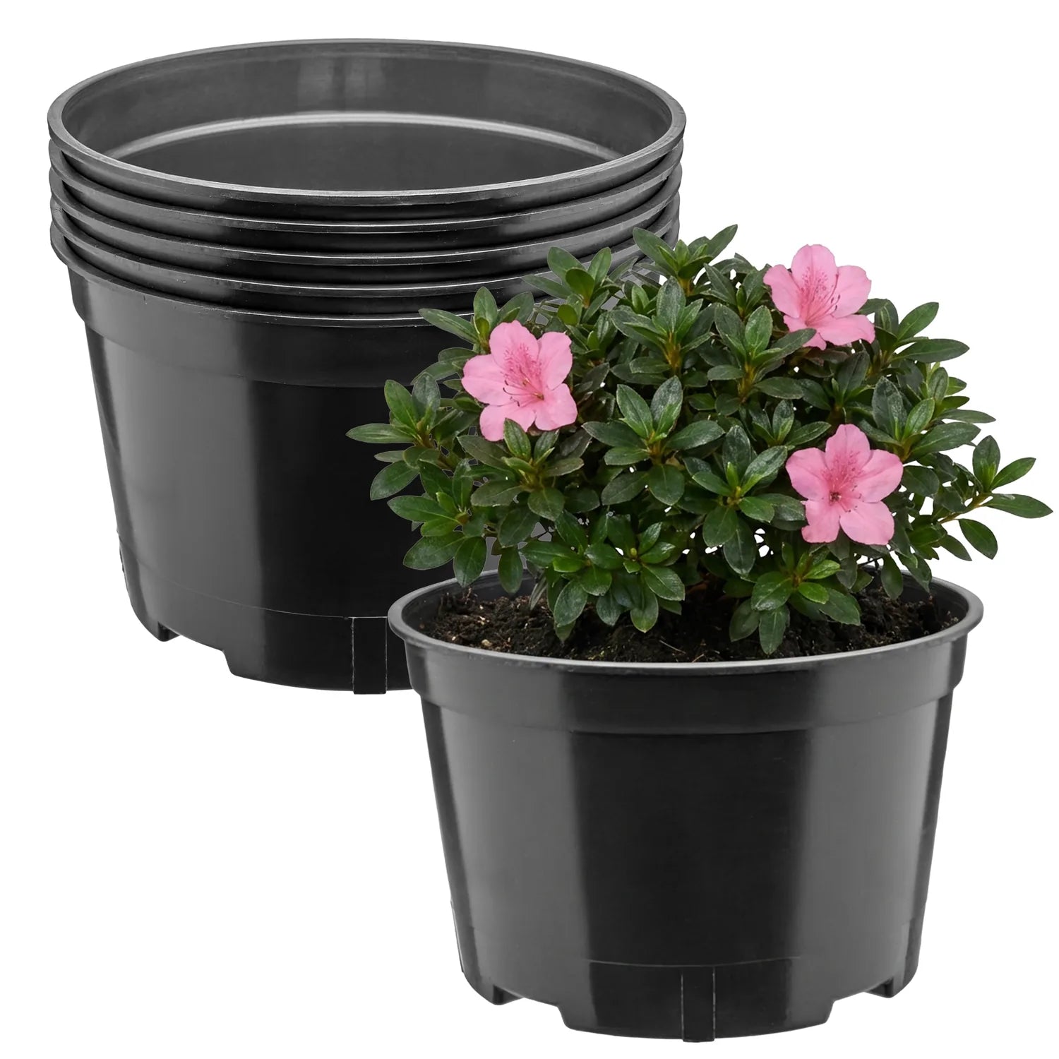 #Größe_Ø18 x 11,5 cm (2L)#Menge_5 Stück