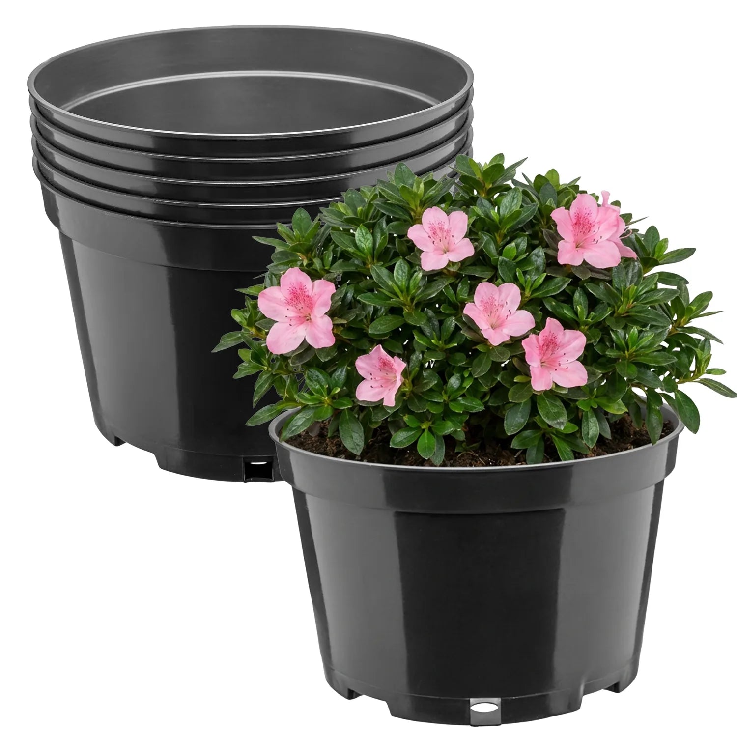 #Größe_Ø20 x 13 cm (3L)#Menge_5 Stück