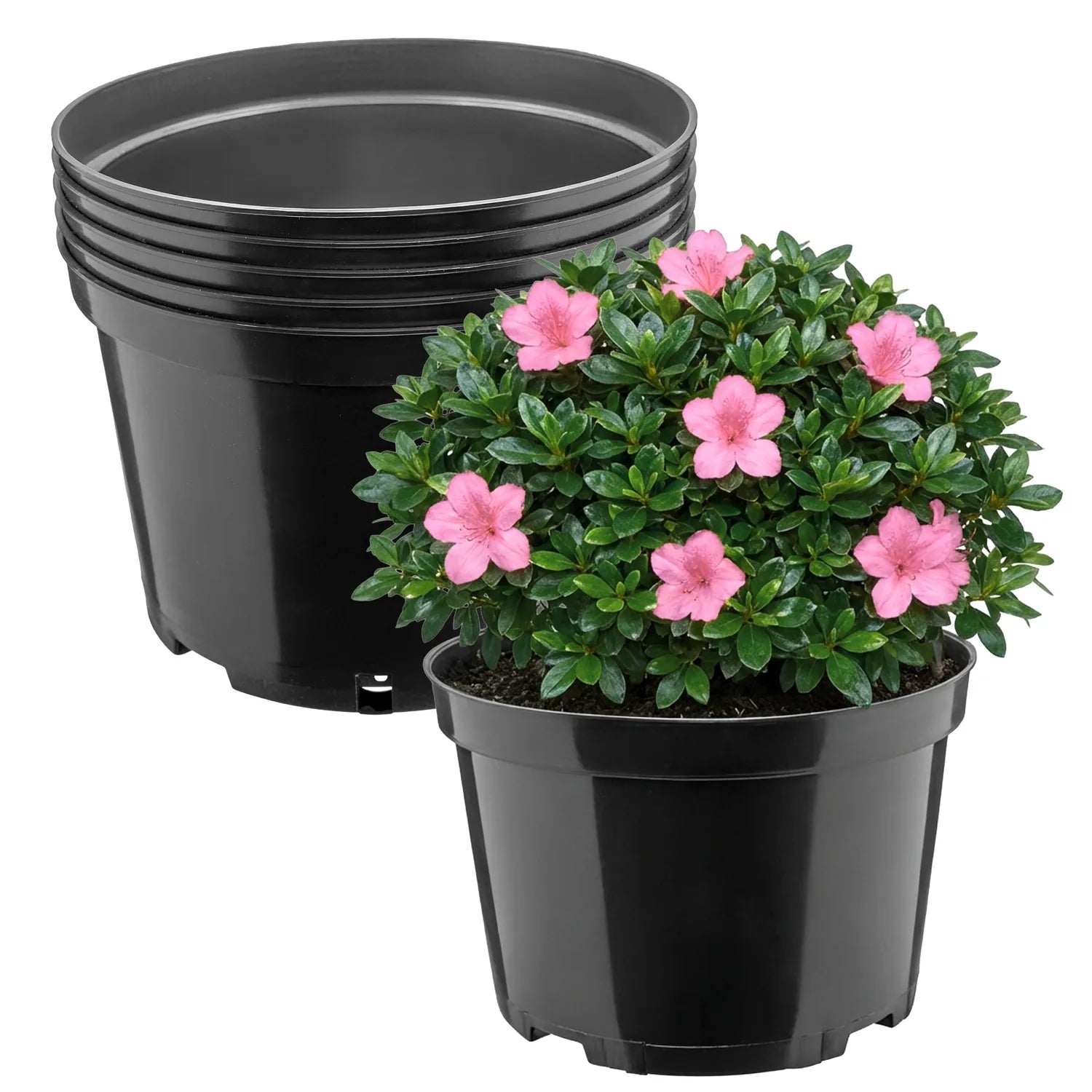 #Größe_Ø22 x 14,5 cm (4L)#Menge_5 Stück