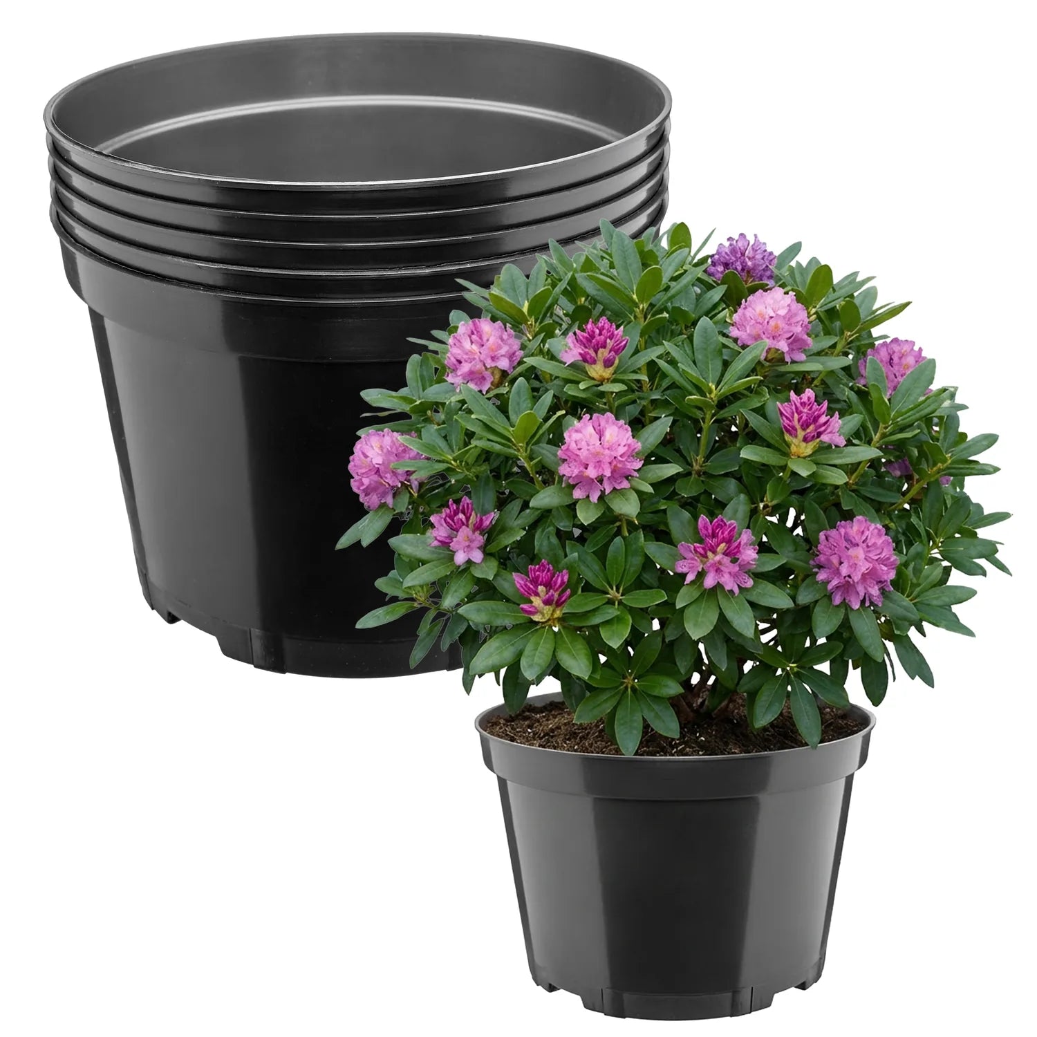 #Größe_Ø27 x 17,5 cm (7,5L)#Menge_5 Stück