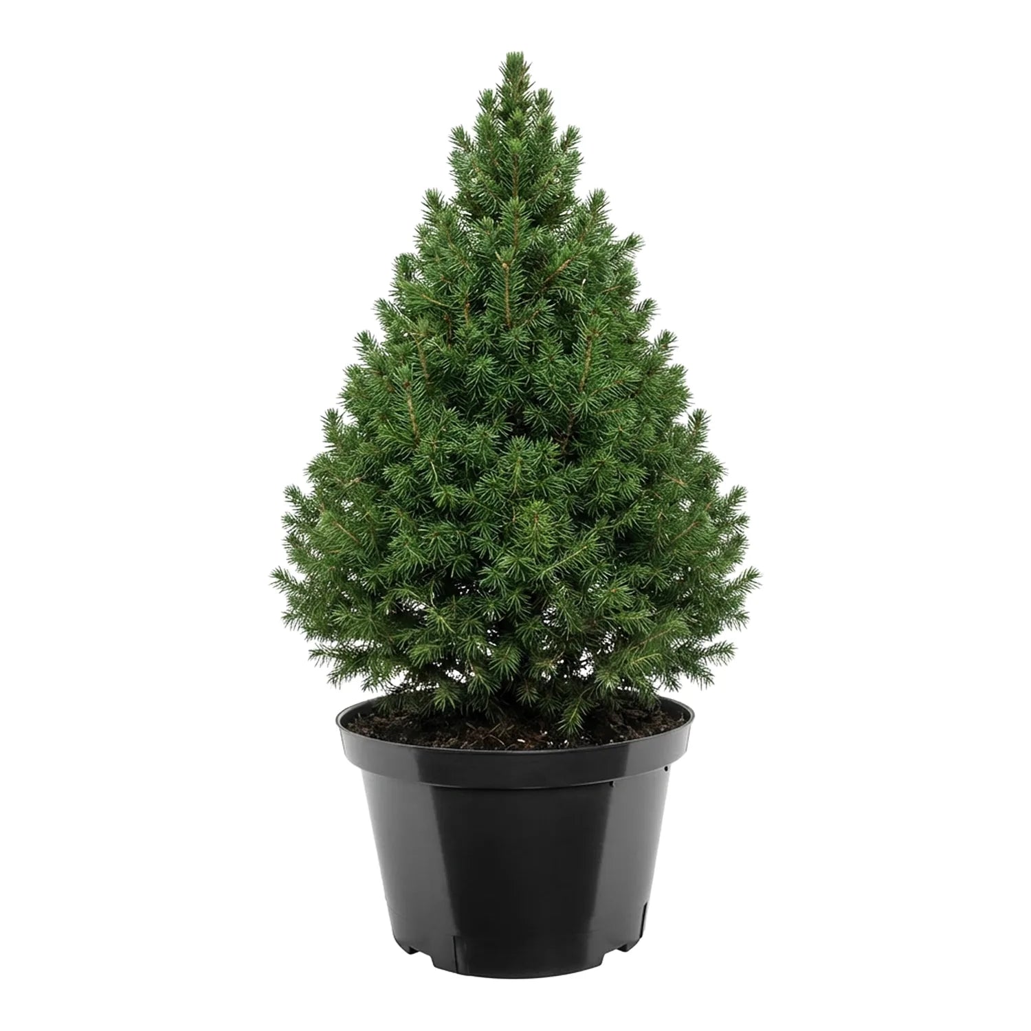 #Größe_Ø41 x 27 cm (25L)#Menge_1 Stück