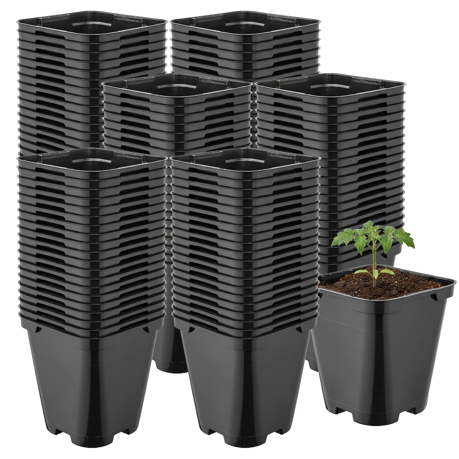 #Größe_9 x 9 x 9,6 cm (0,5L)#Menge_100 Stück